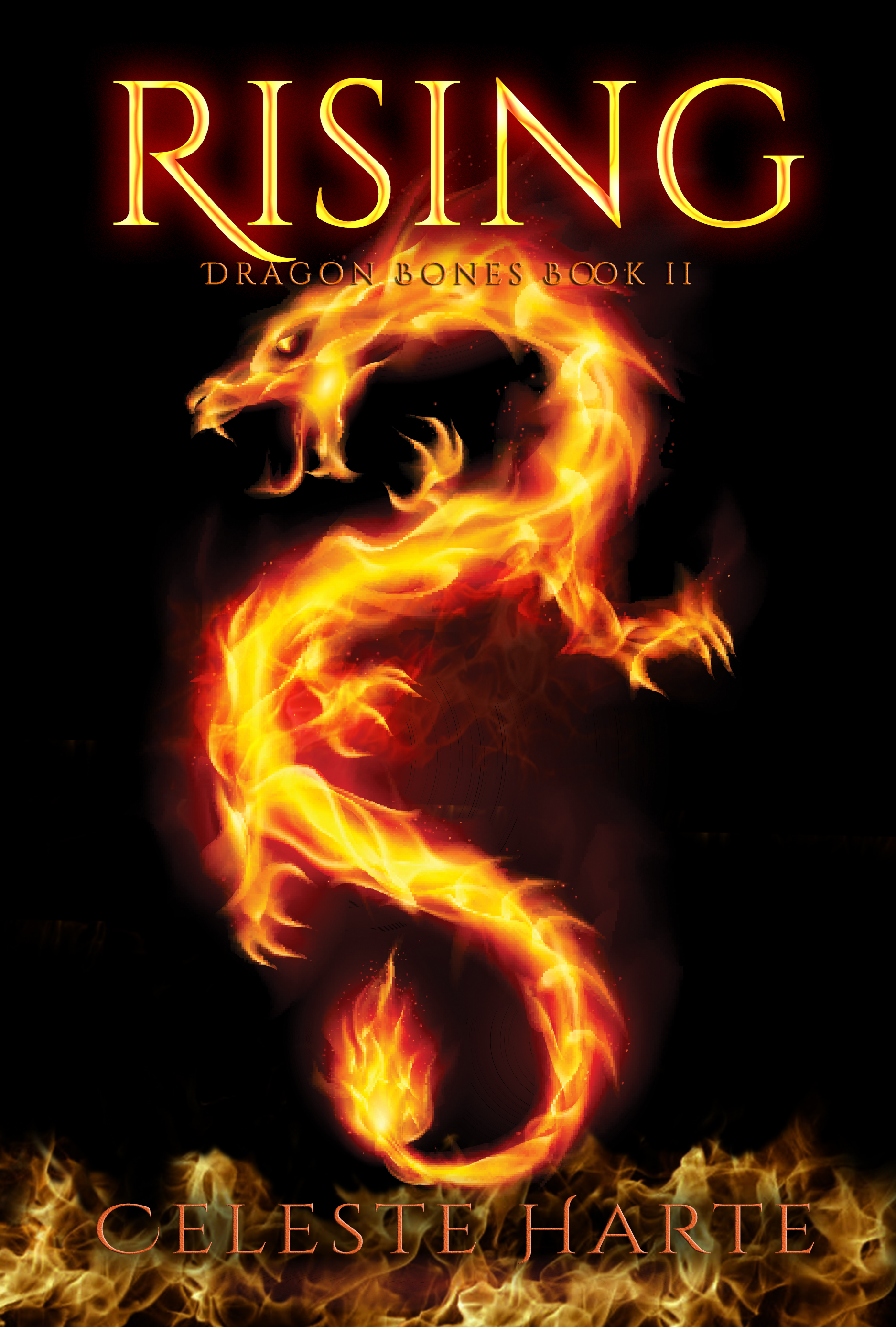 Dragon Bones book cover 2