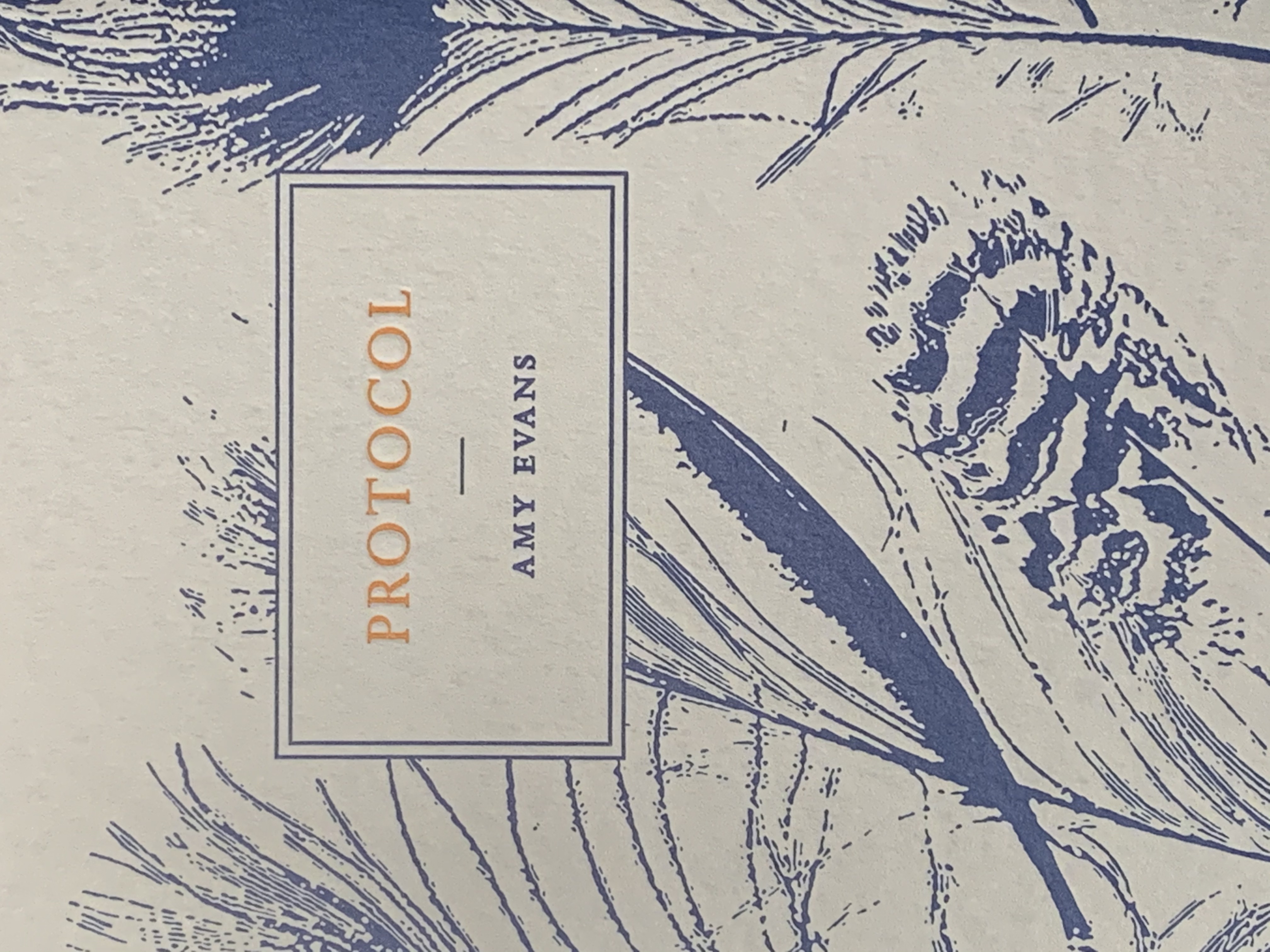Protocol by Amy Evans | Goodreads