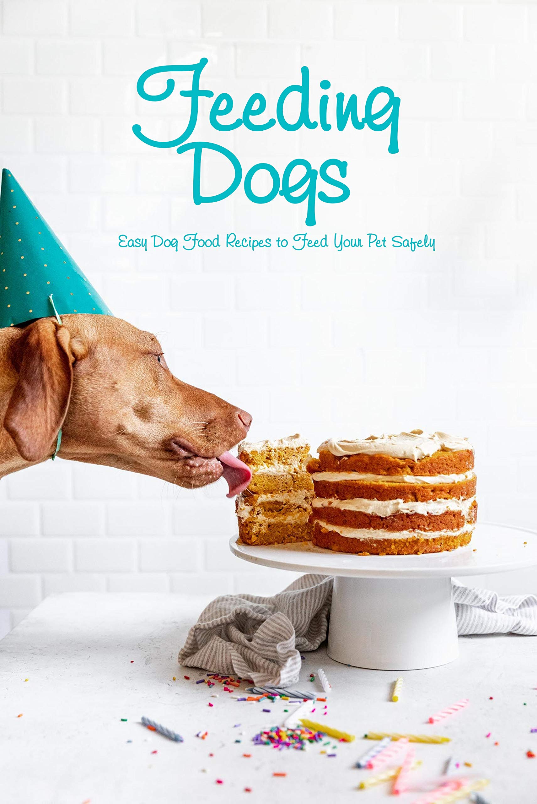 Feeding Dogs Easy Dog Food Recipes to Feed Your Pet Safely The