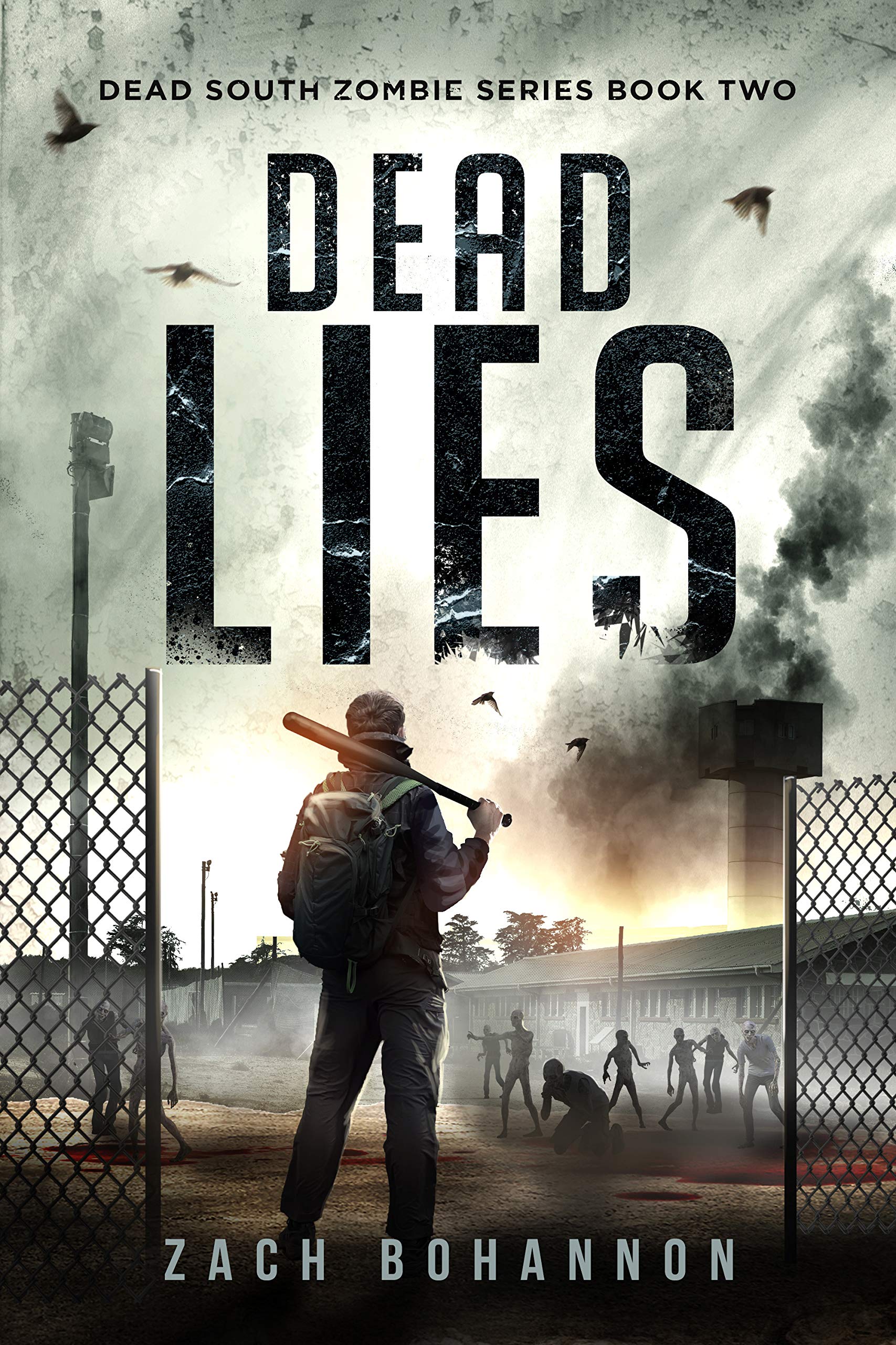 Dead Lies: A Post-Apocalyptic Zombie Thriller