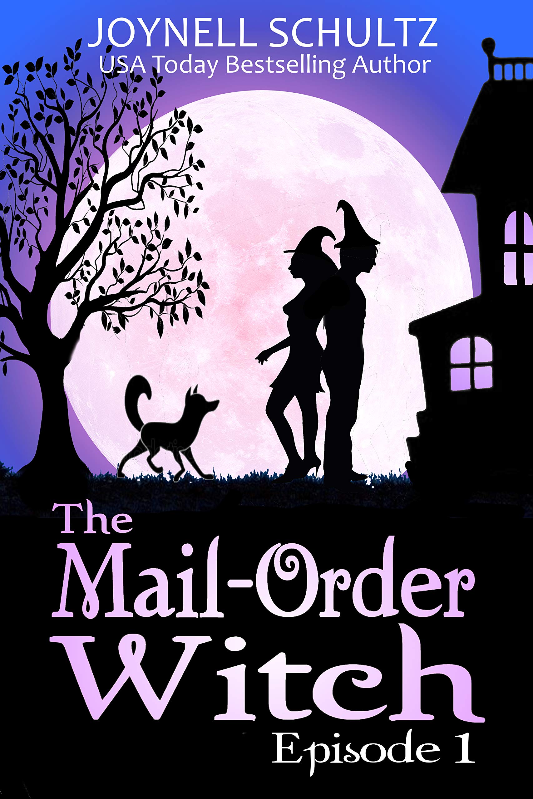 The Mail-Order Witch book cover