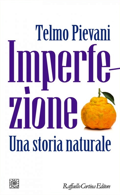 Imperfection book cover