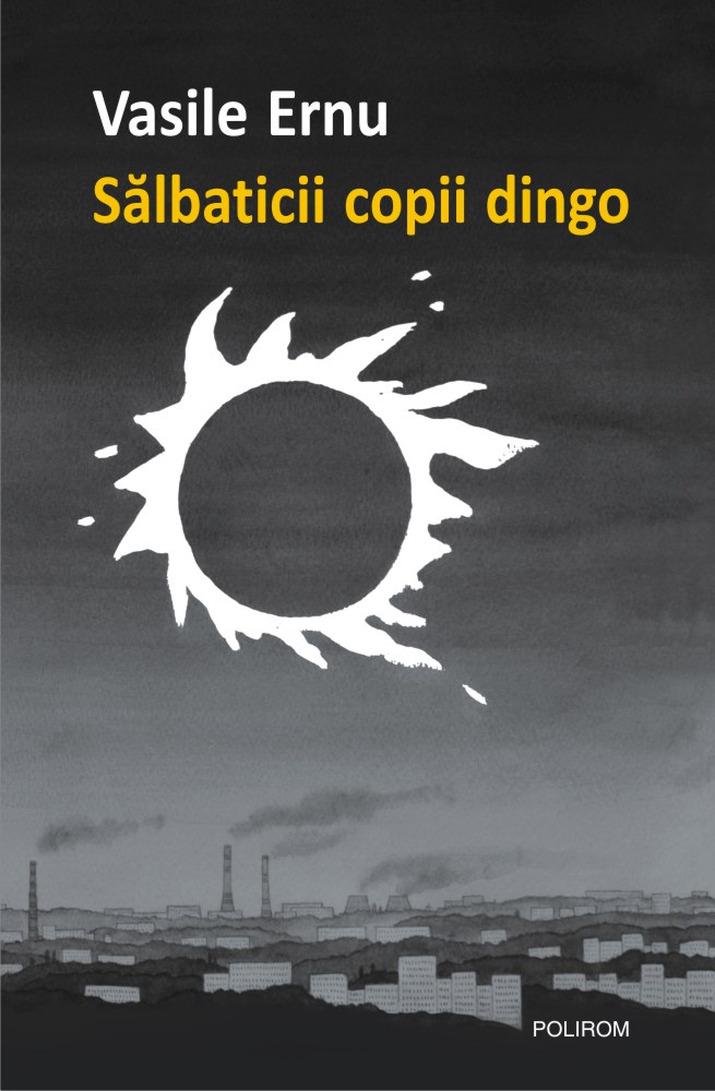 Sălbaticii copii dingo book cover
