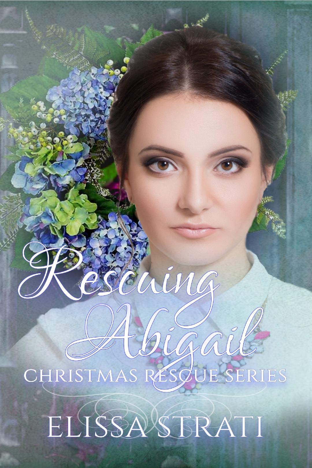 Rescuing Abigail book cover