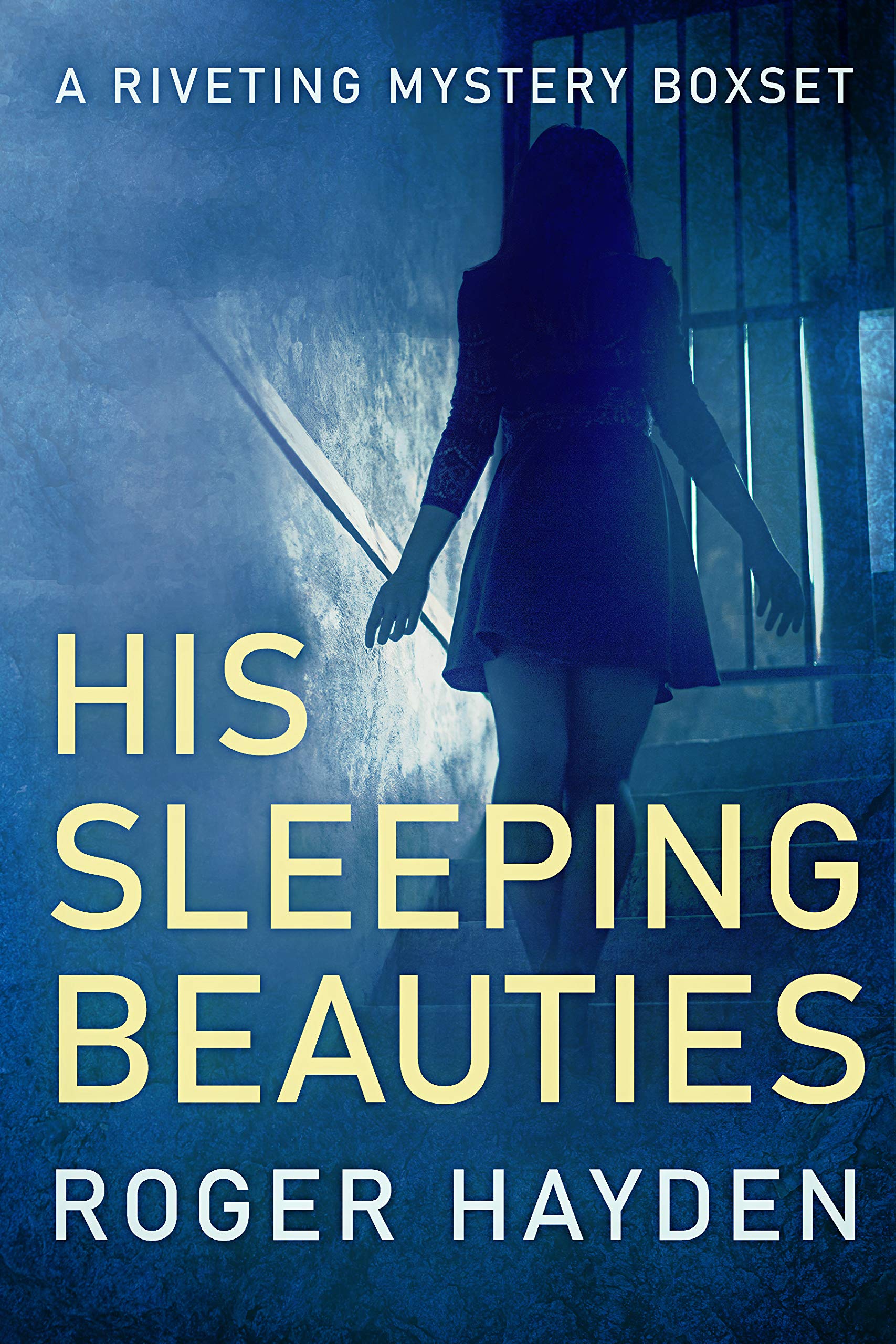 His Sleeping Beauties book cover