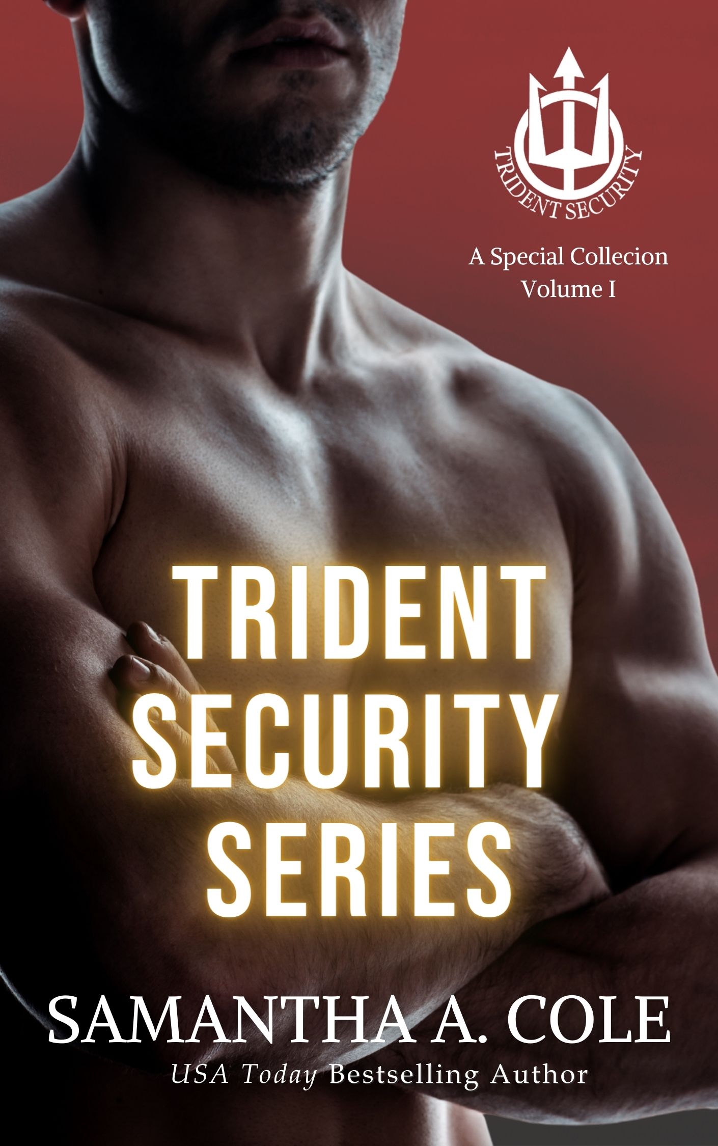 Trident Security Series: Special Collection, Volume 1: Leather & Lace / His Angel / Waiting for Him