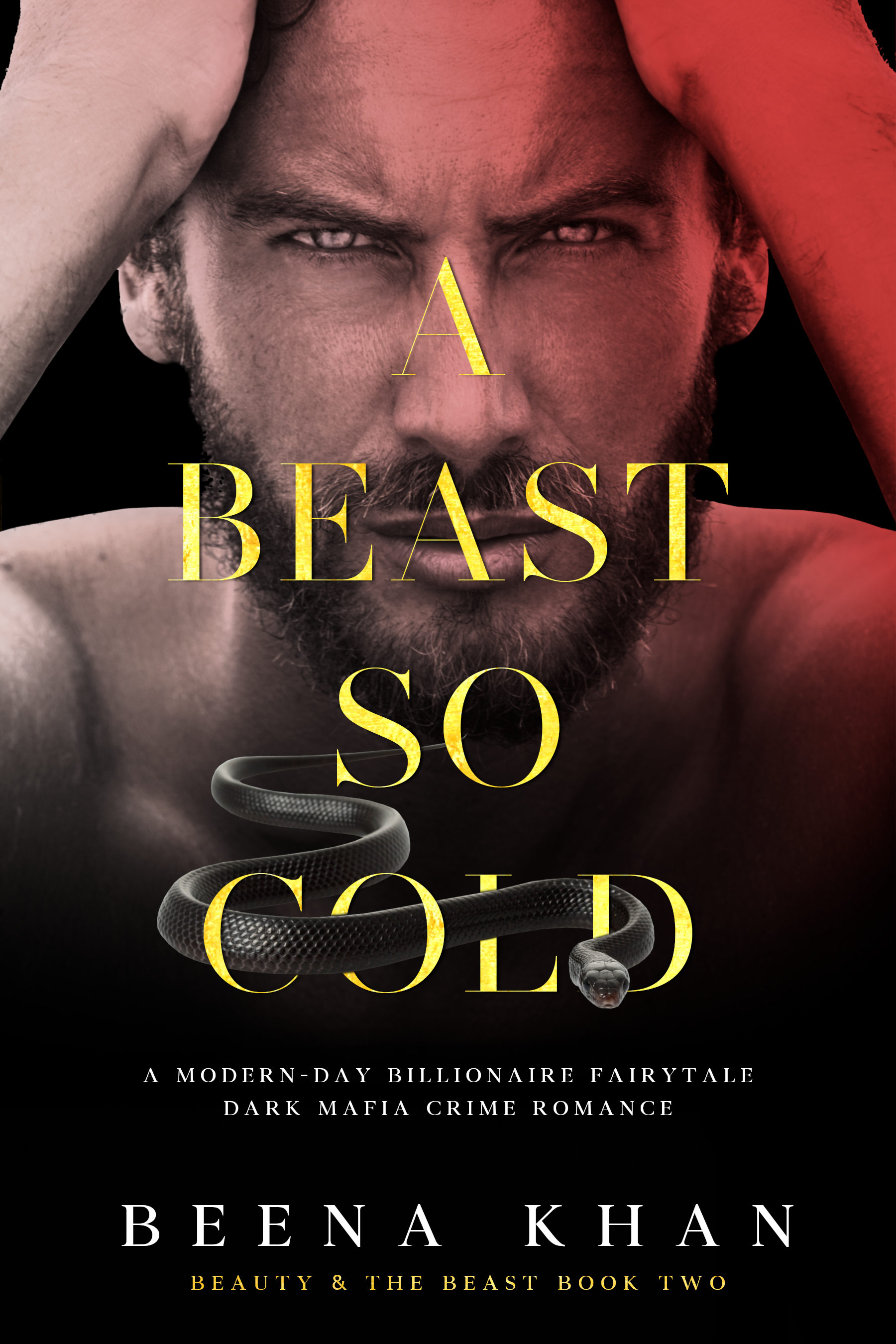 Beauty & The Beast book cover 2