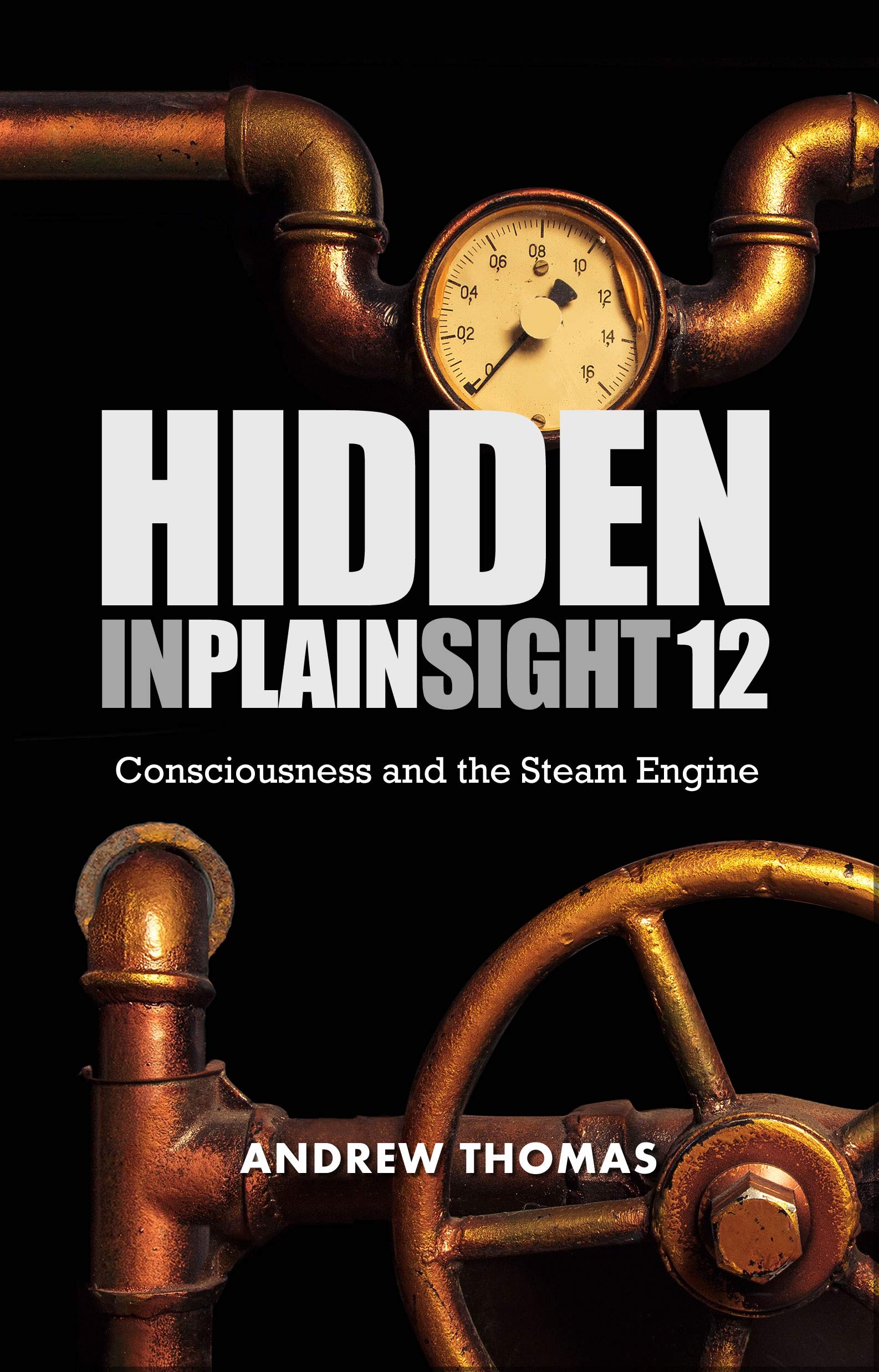 Hidden In Plain Sight 12: Consciousness and the Steam Engine