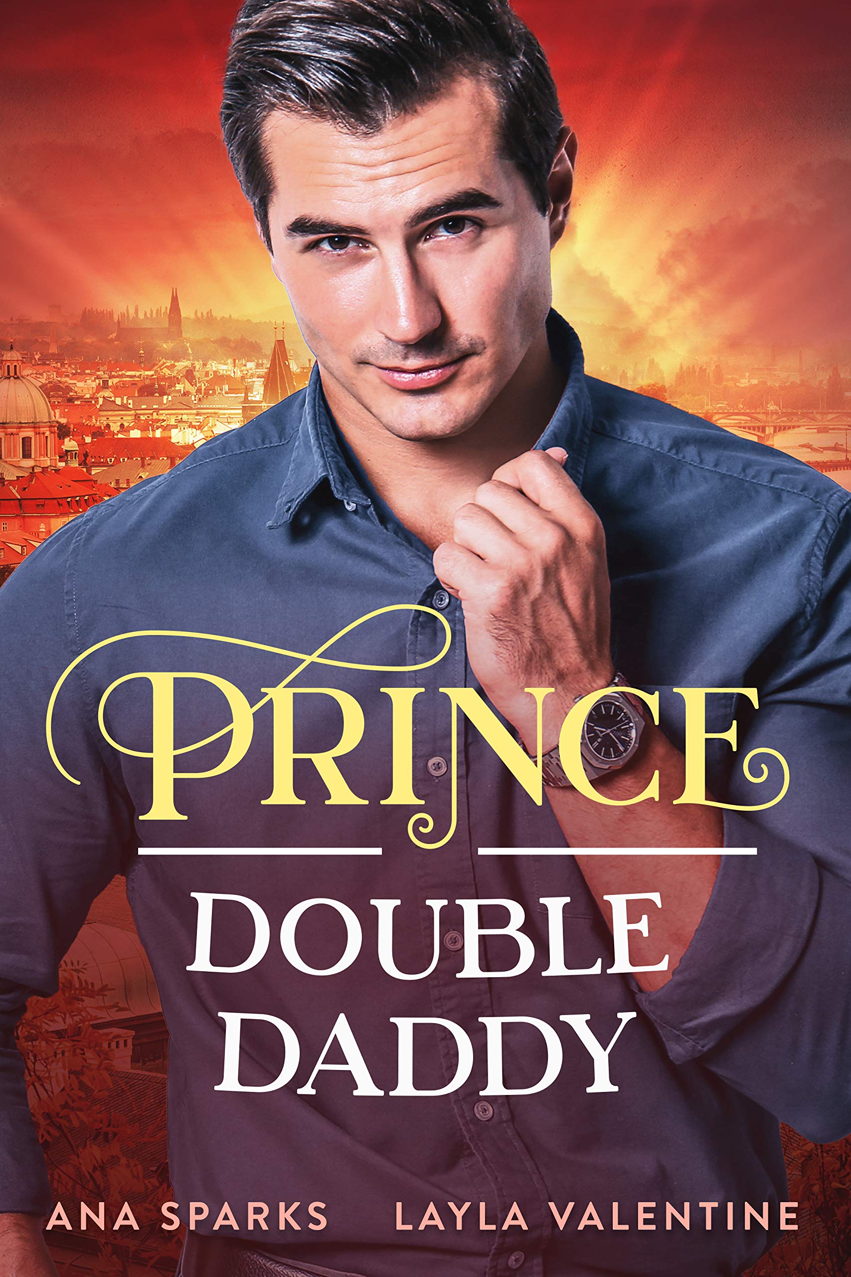 Prince Double Daddy book cover
