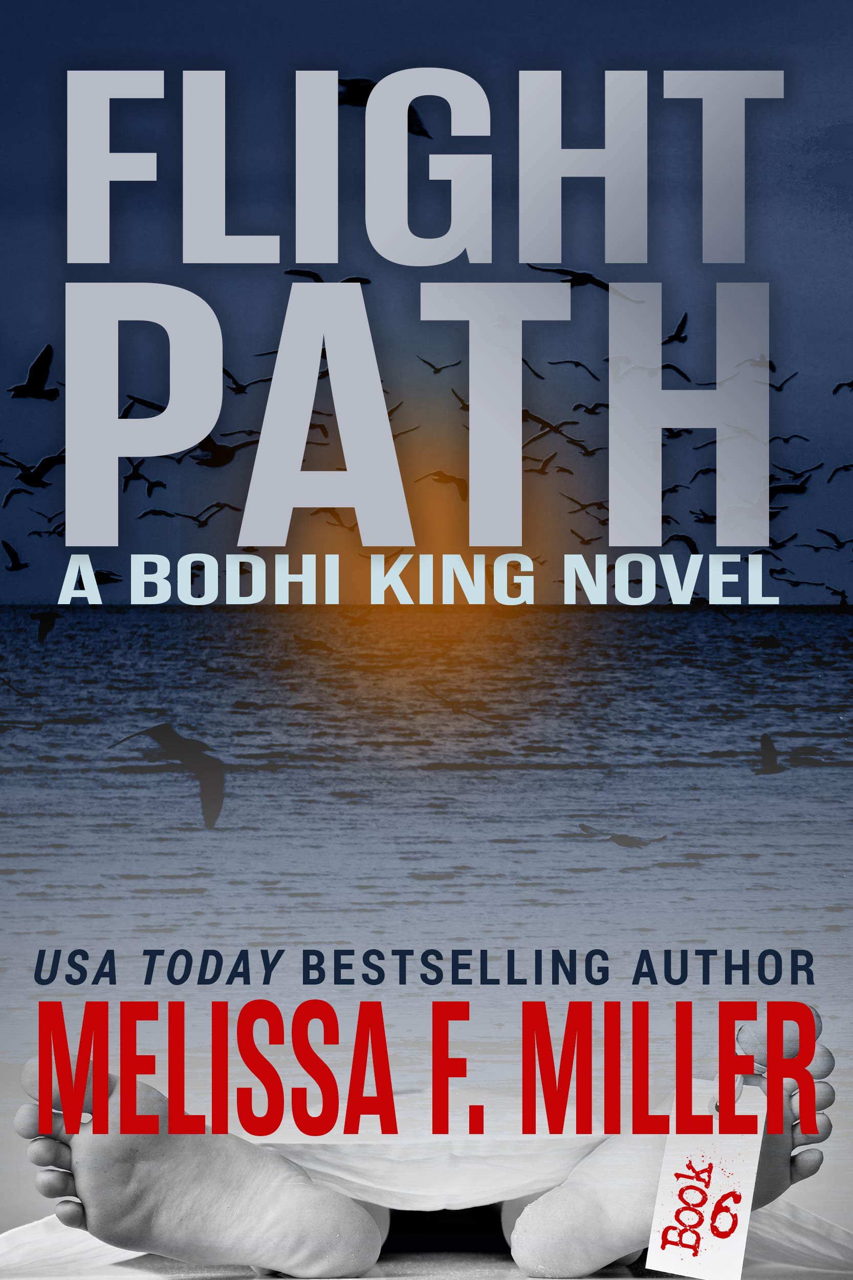 Flight Path book cover