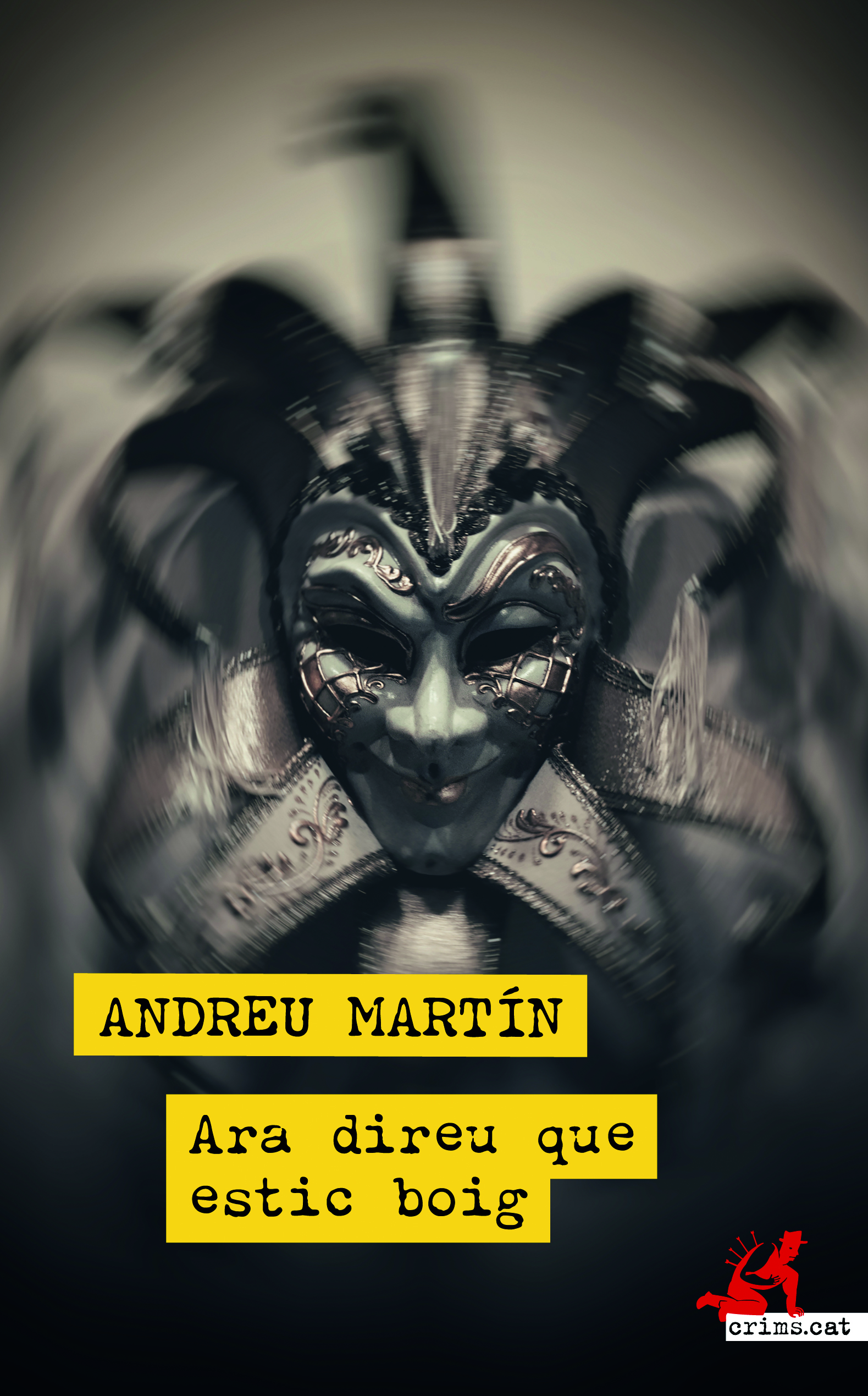 Ara direu que estic boig book cover