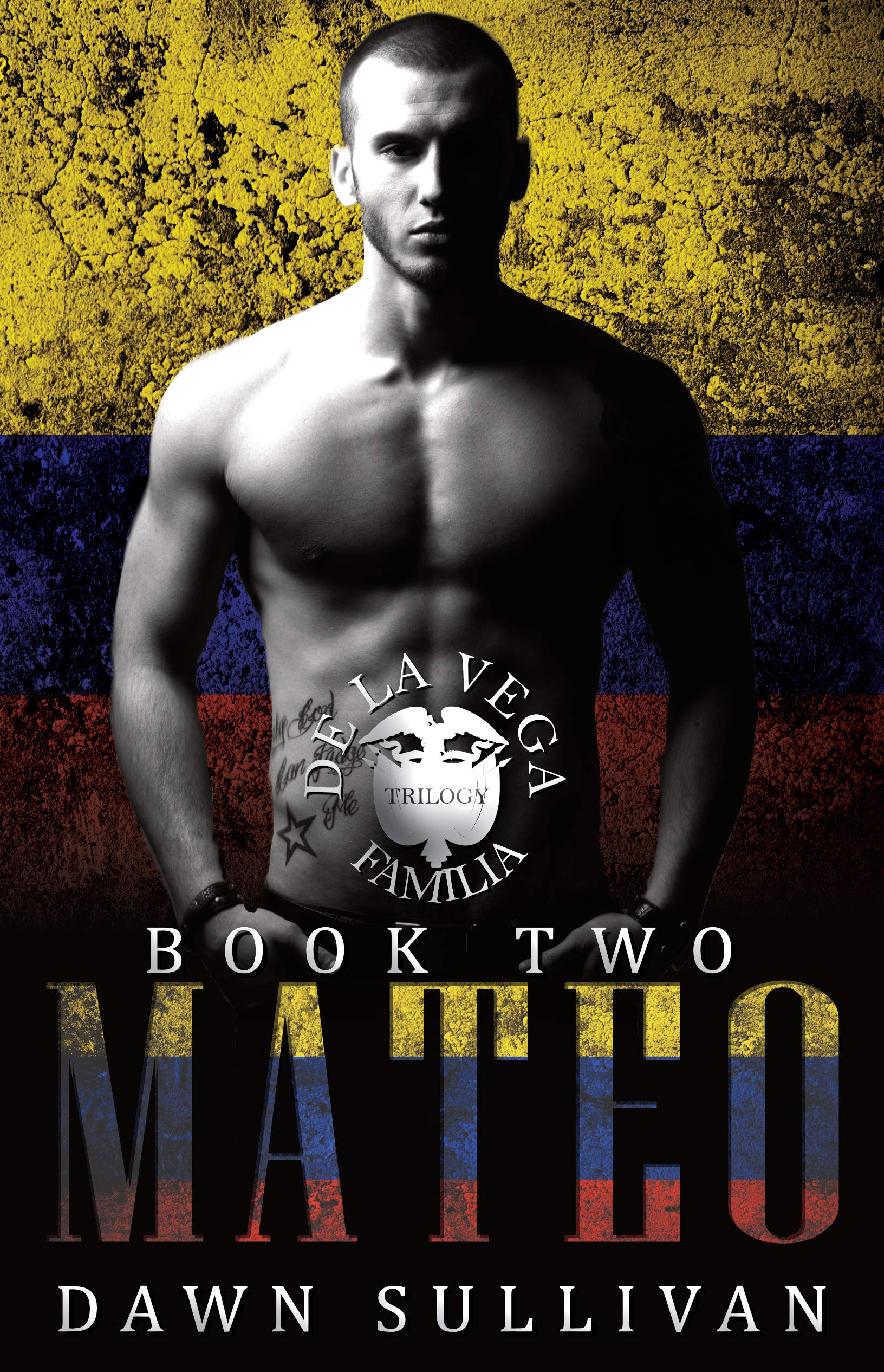 Mateo book cover