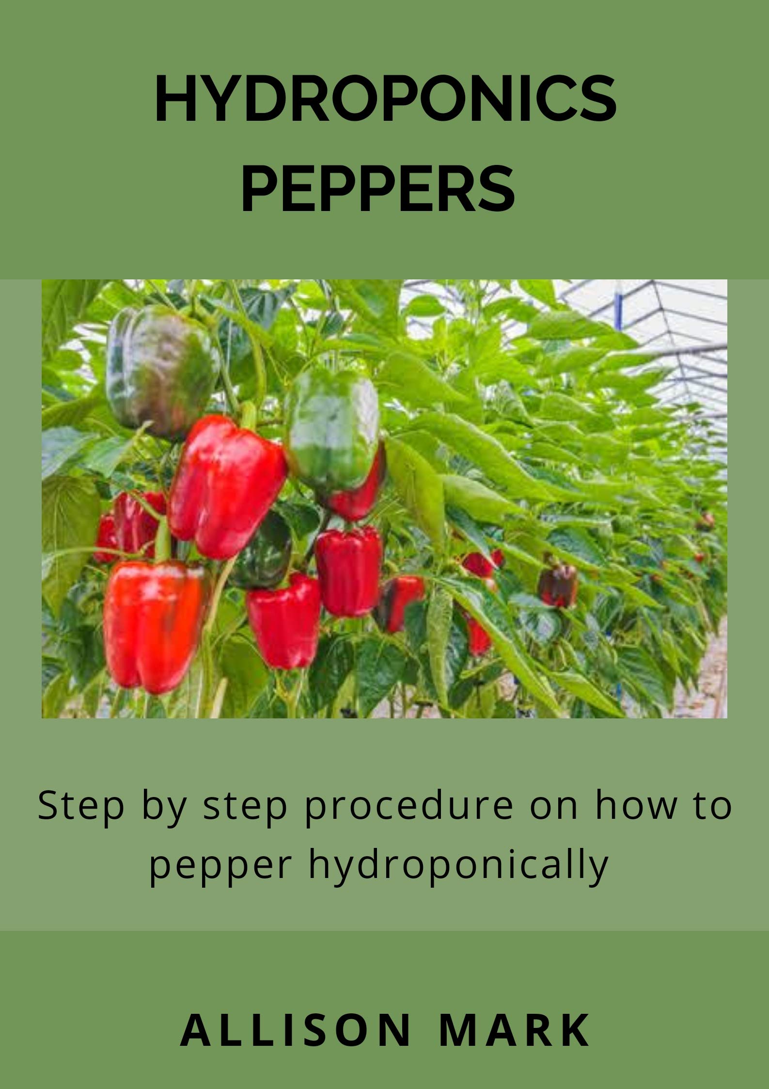 HYDROPONICS PEPPERS Step by Step Procedure on how to Grow Pepper