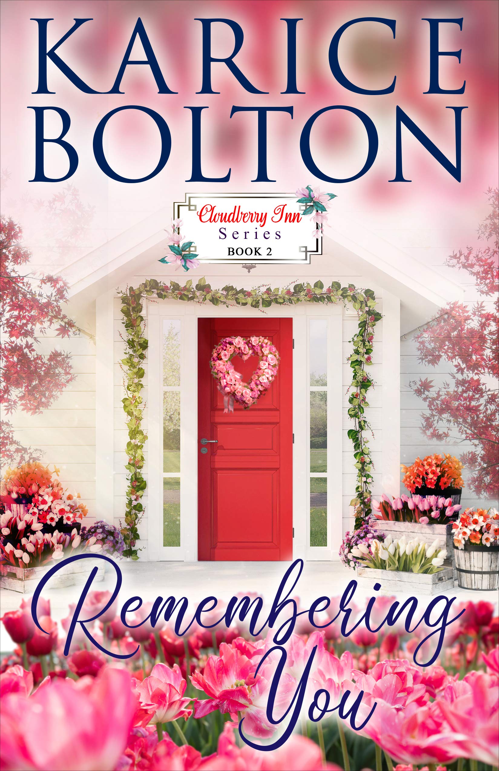 The Cloudberry Inn Series book cover 2