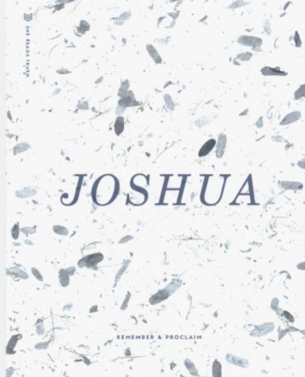 Joshua book cover