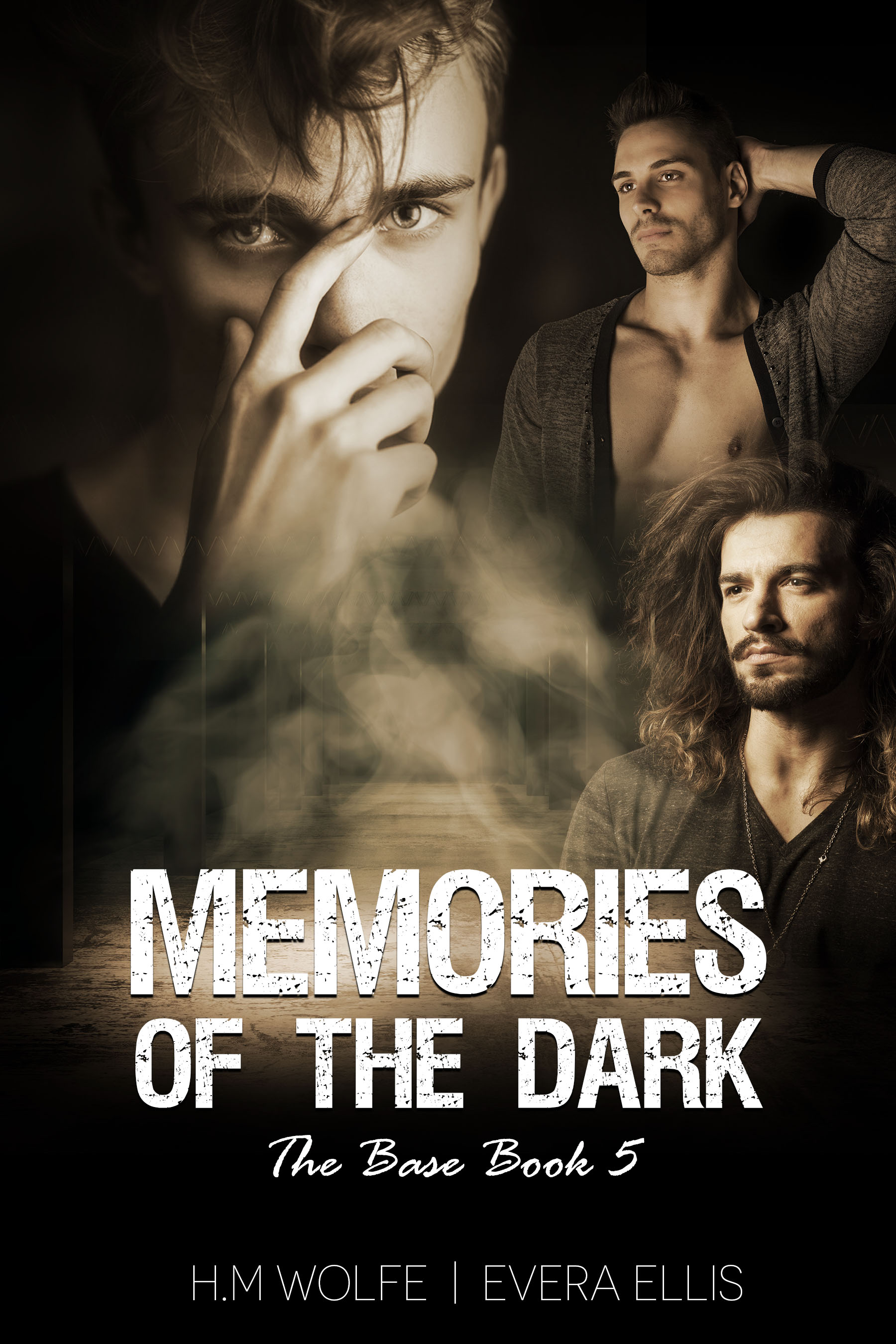 Memories of the Dark book cover