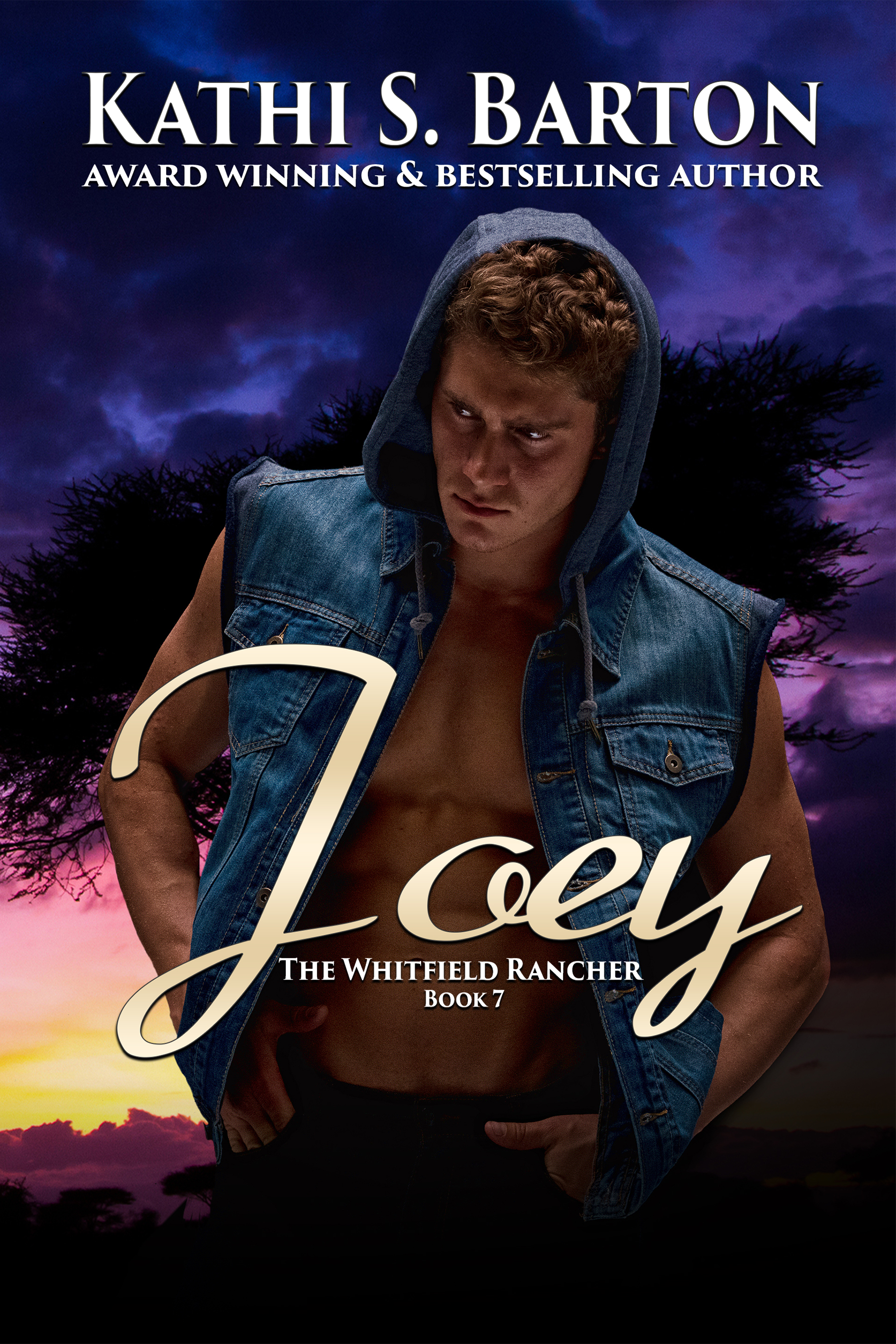 Joey book cover