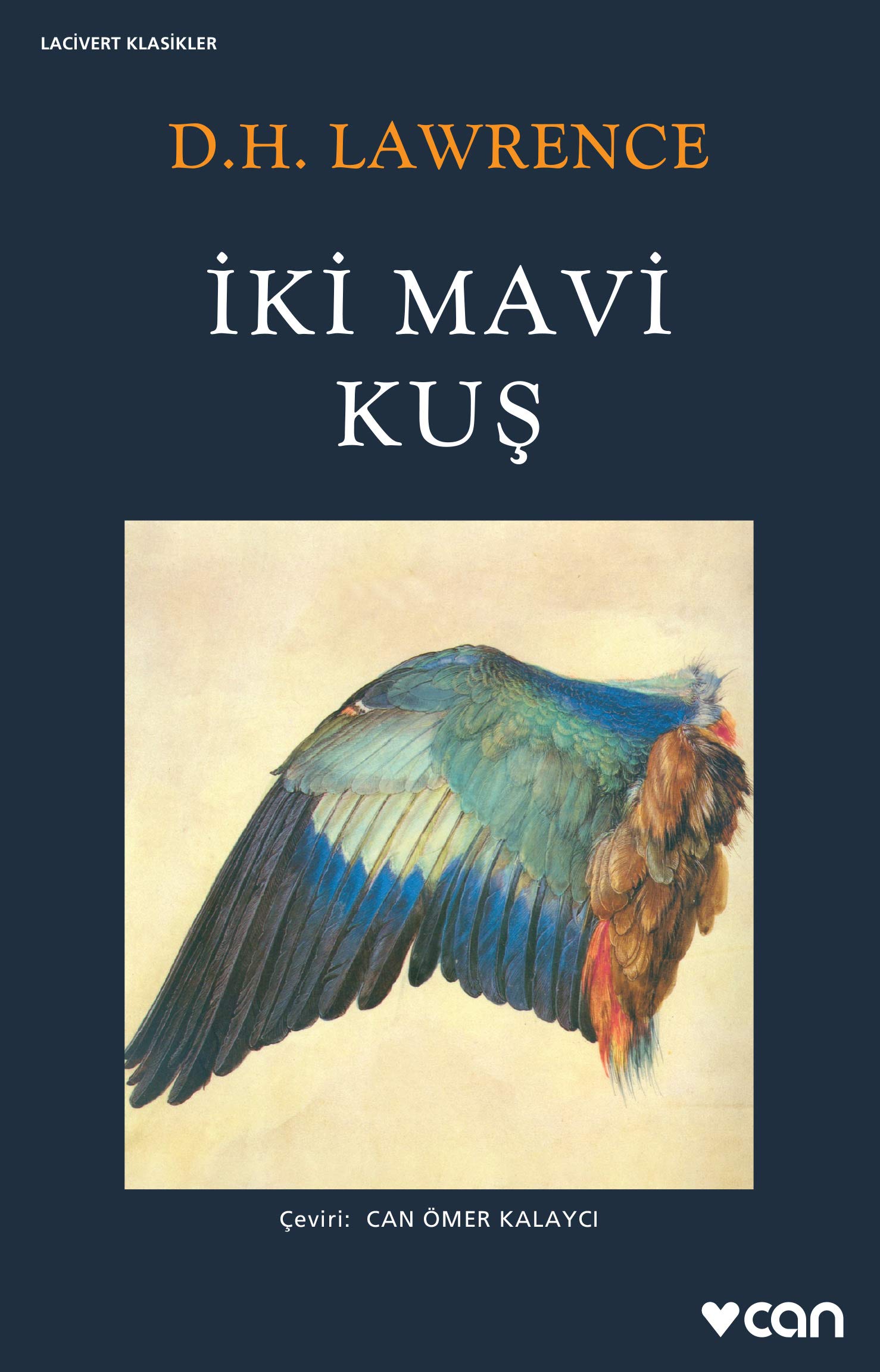İki Mavi Kuş book cover