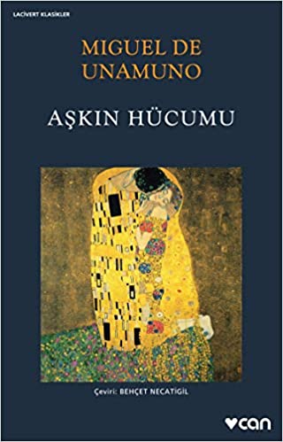 Aşkın Hücumu book cover
