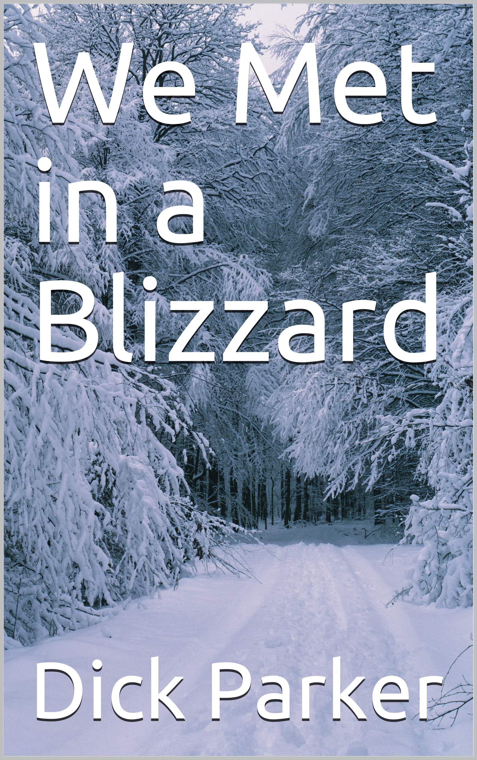 We Met in a Blizzard