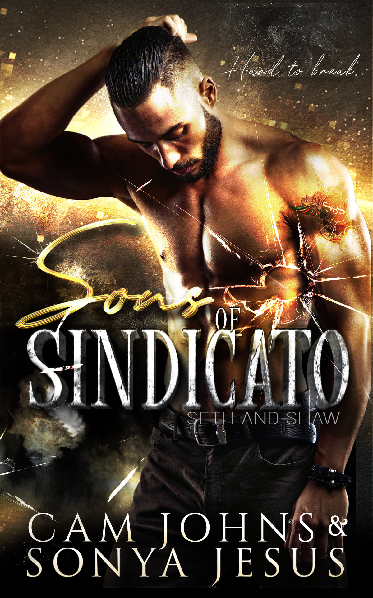 Sons of Sindicato book cover 1