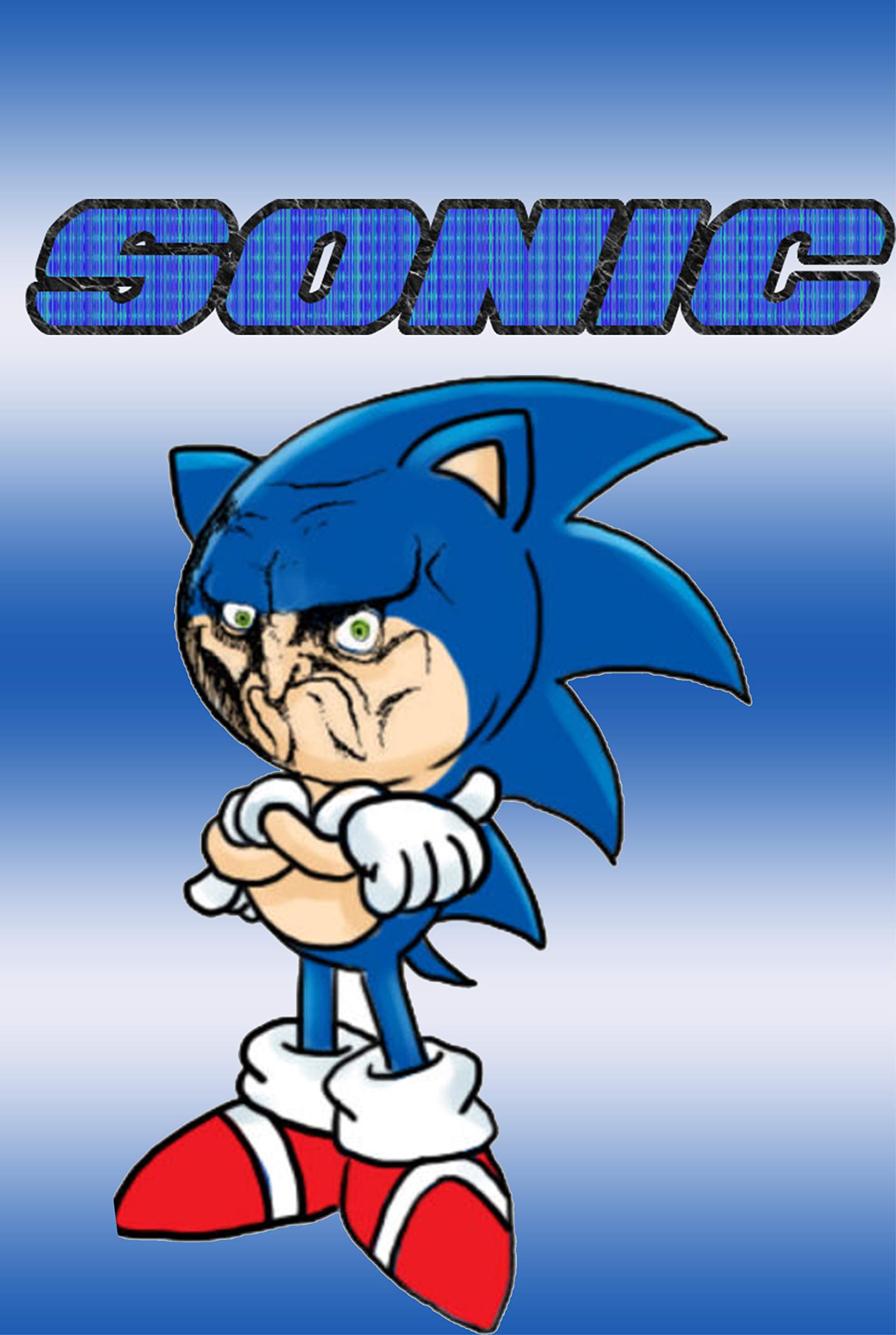 Funny Sonic Face