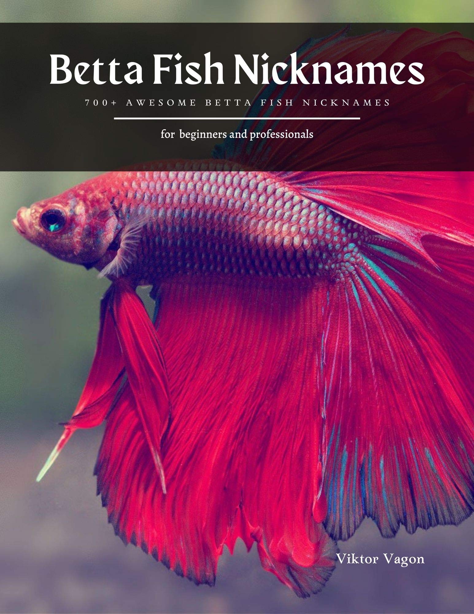 Betta Fish Nicknames 700+ Awesome Betta Fish Nicknames by Viktor Vagon