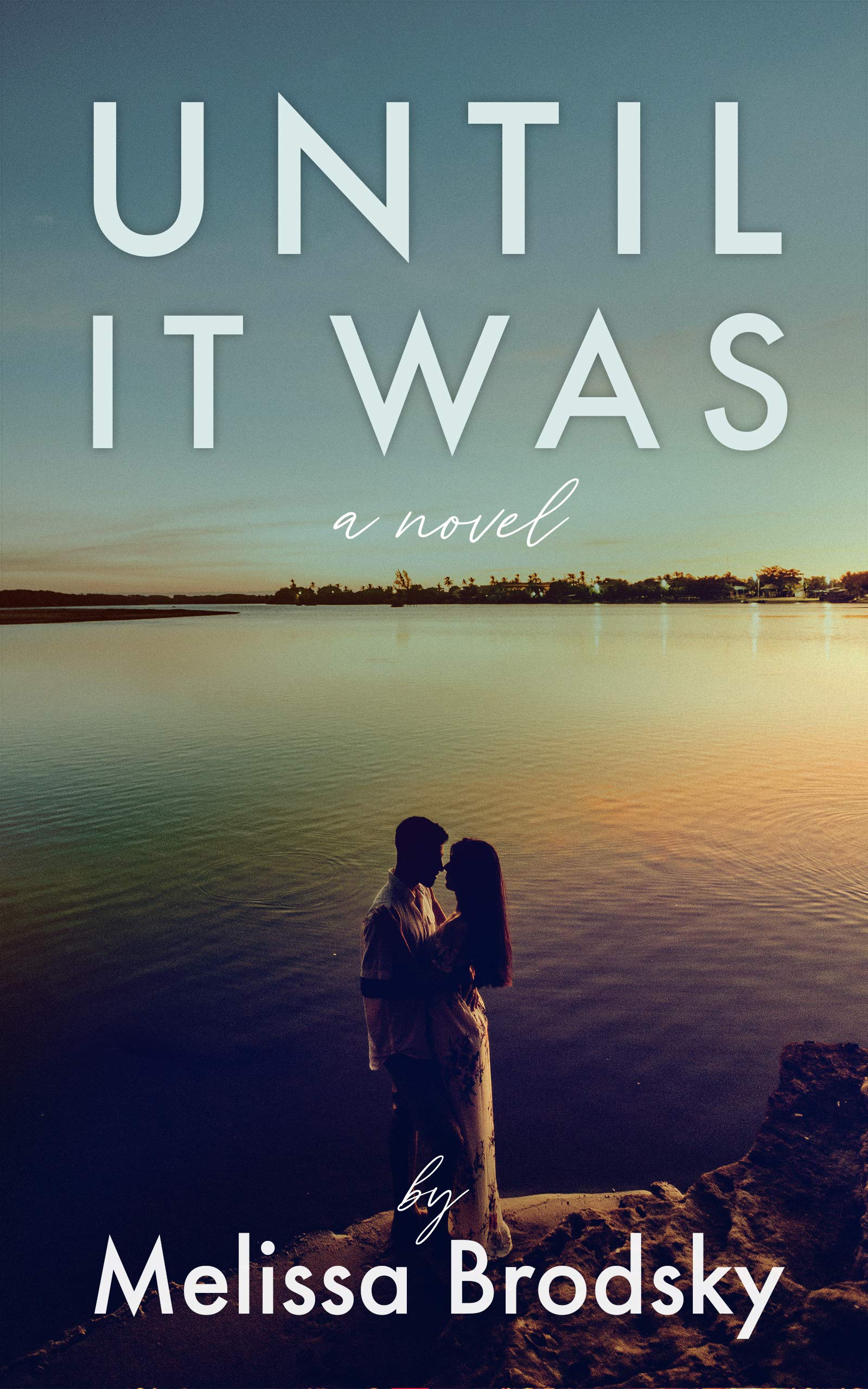 Until It Was book cover