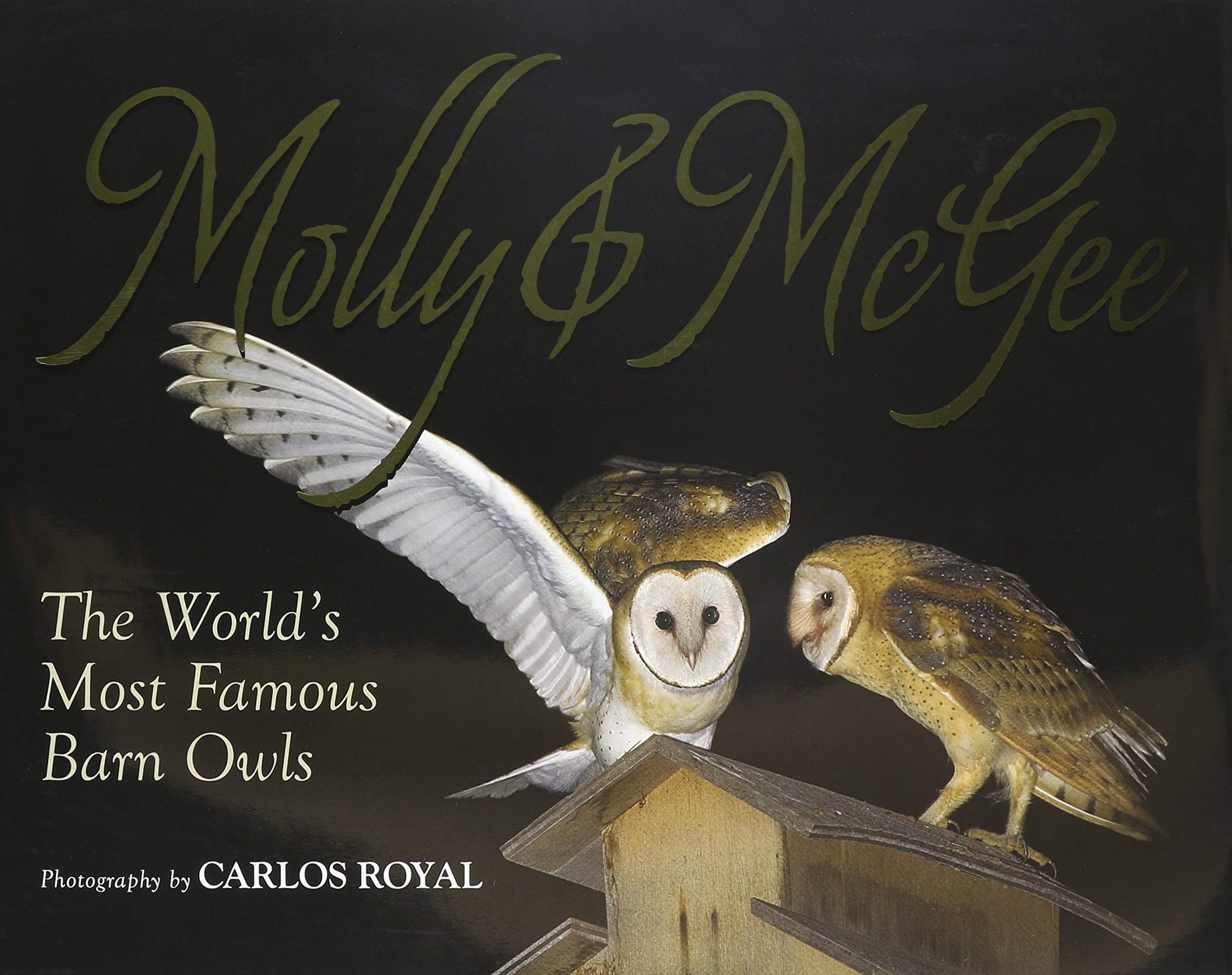 Molly & McGee A Photo Gallery of the World's Most Famous Barn Owls by(02)