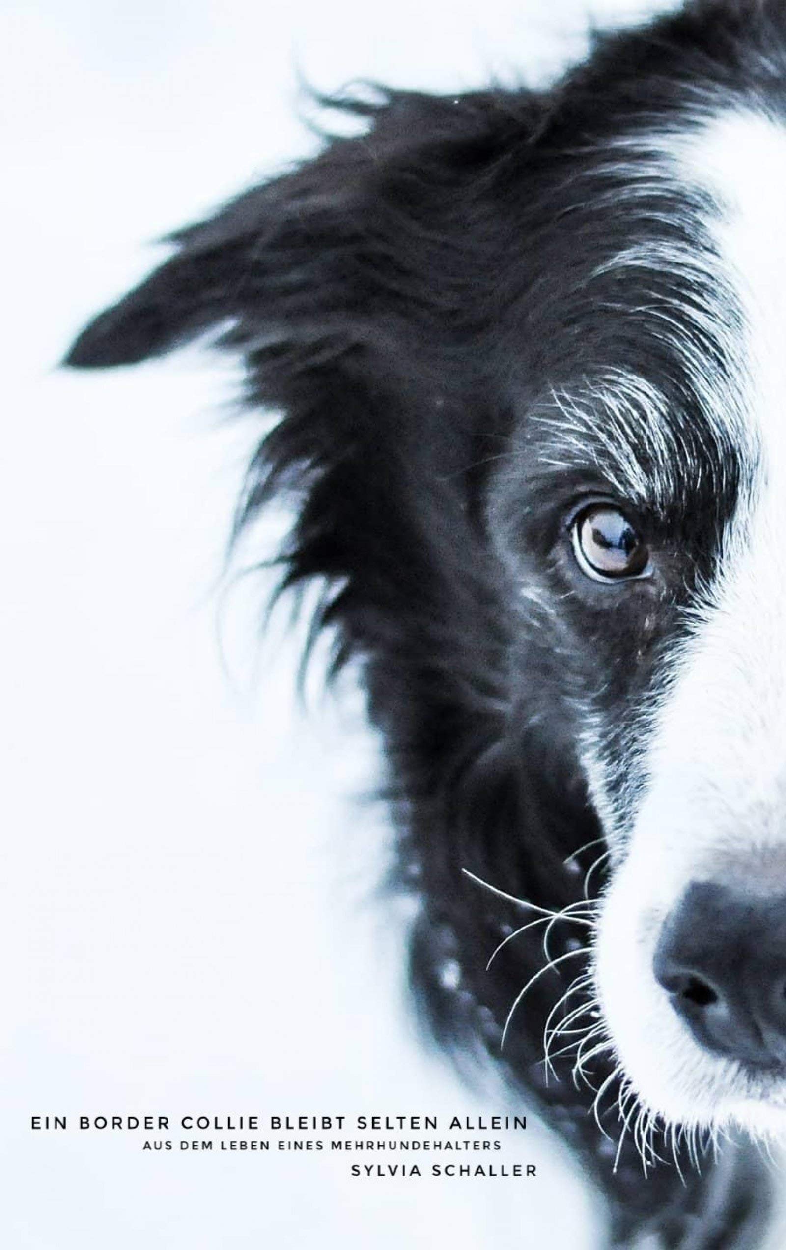 Ein Border Collie bleibt selten allein: Aus dem Leben eines ...