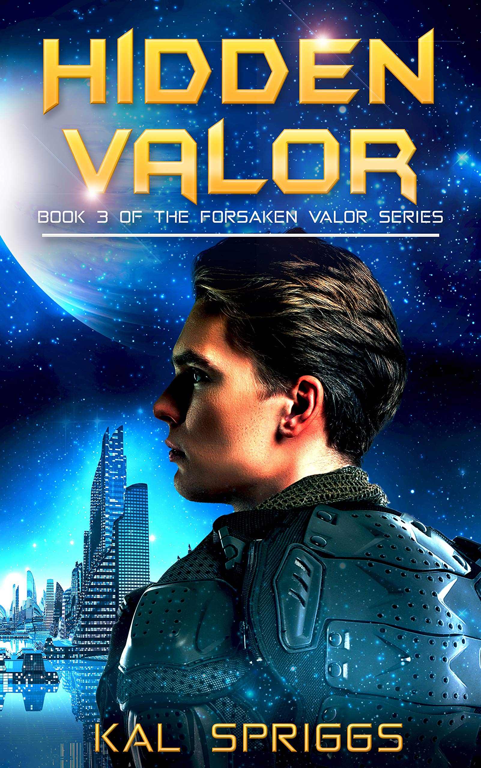 Hidden Valor book cover