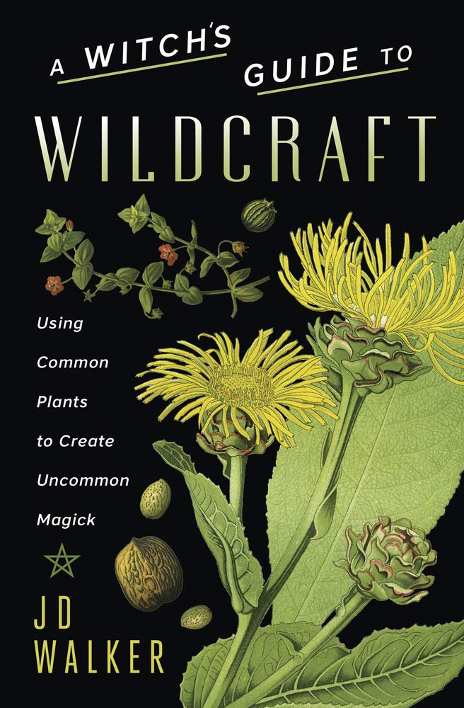 Witch's Guide to Wildcraft: Using Common Plants to Create Uncommon Magick