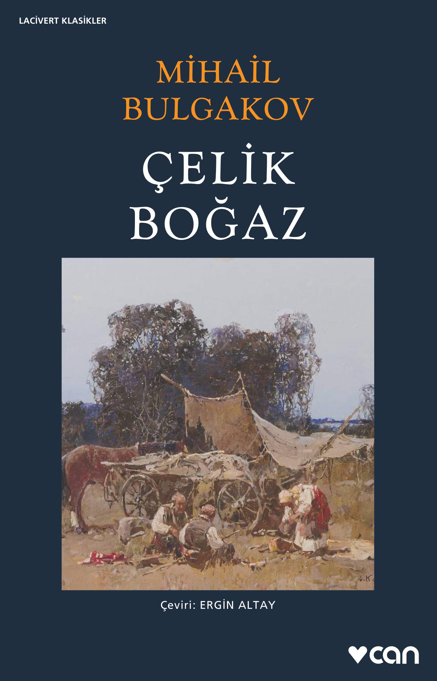 Çelik Boğaz book cover