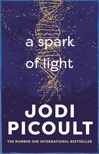 A Spark of Light