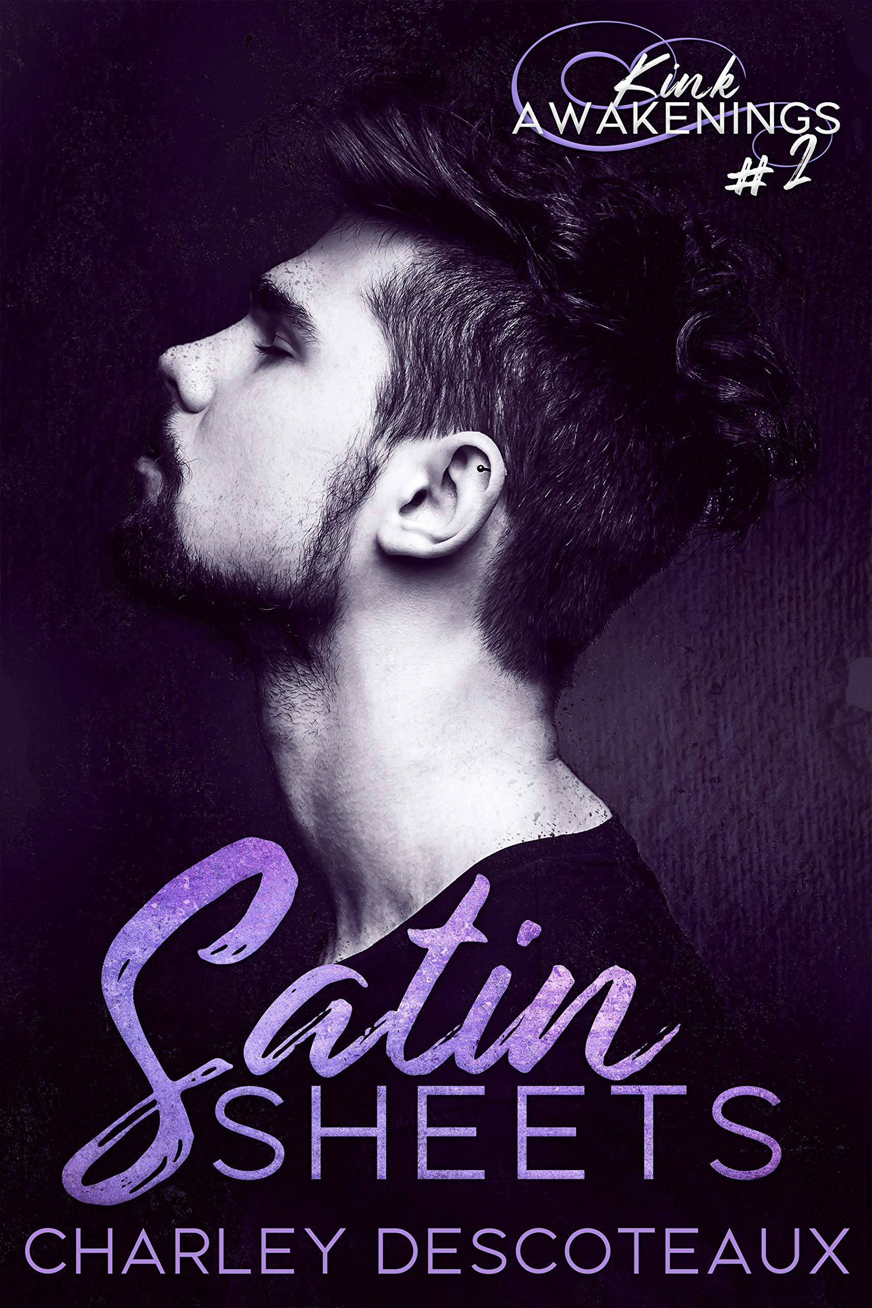 Kink Awakenings book cover 2