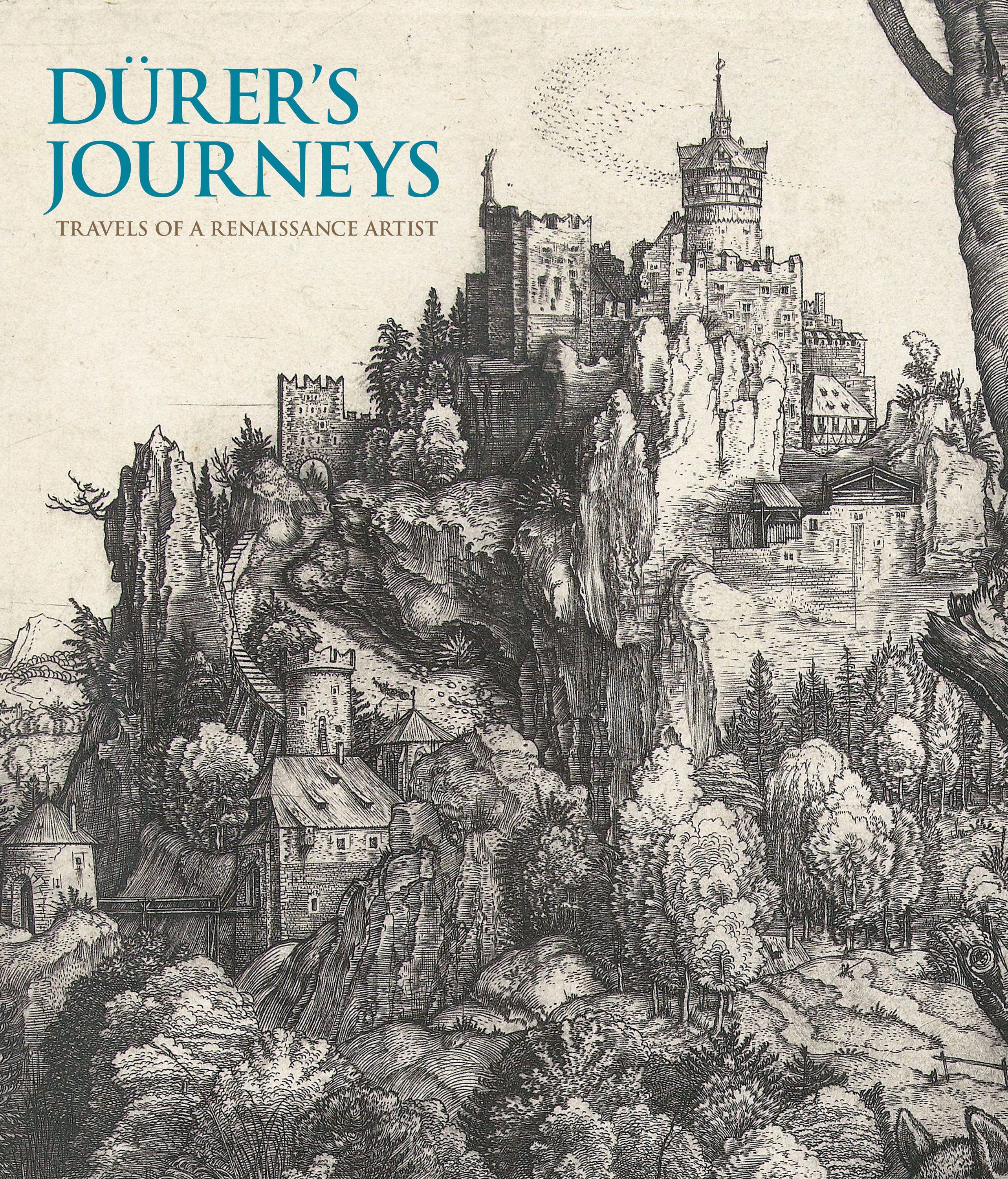 Dürer's Journeys: Travels of a Renaissance Artist