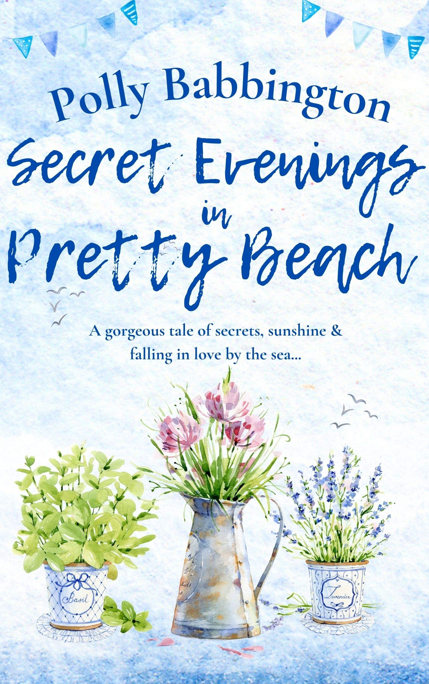 Secret Evenings in Pretty Beach book cover