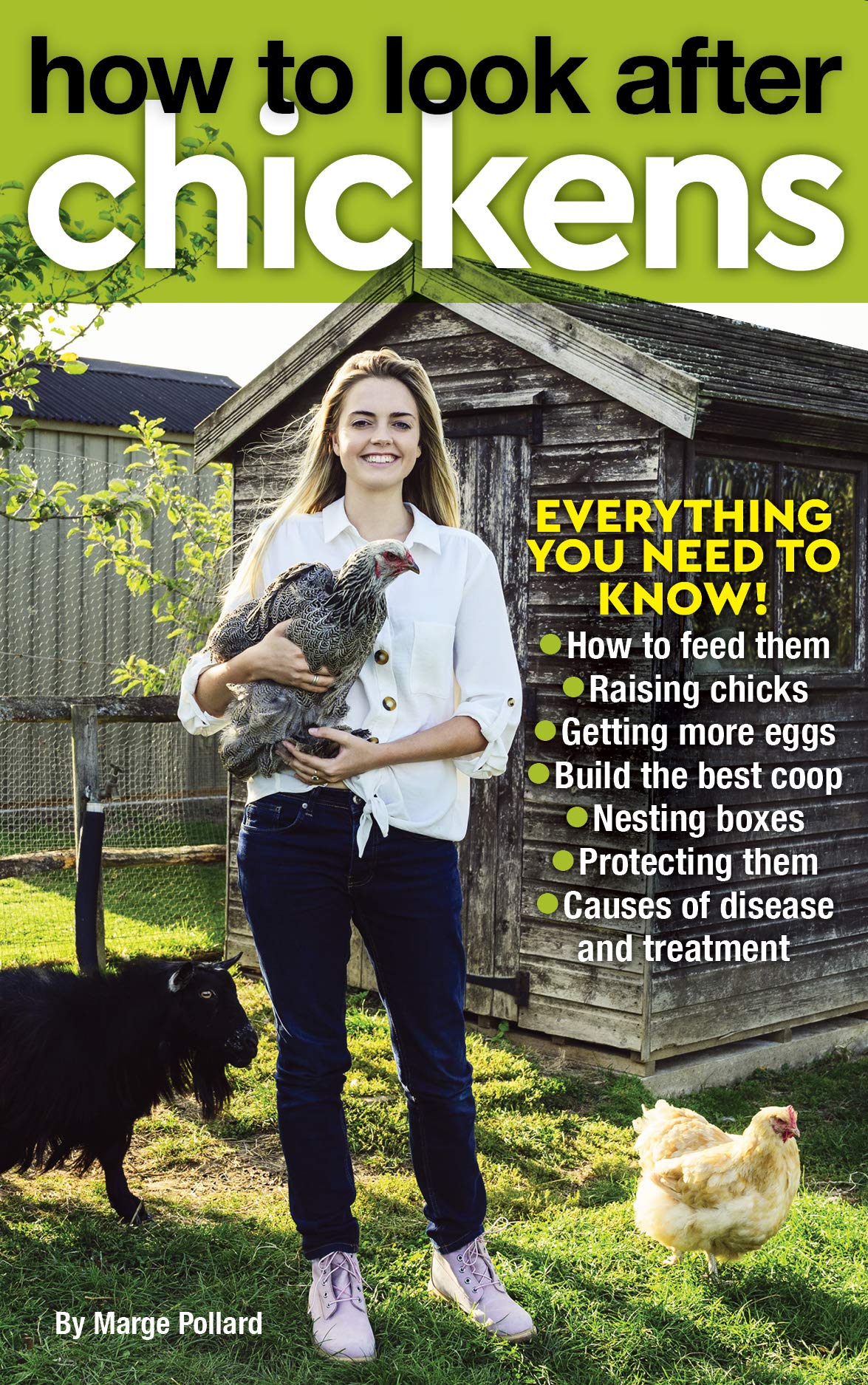 How to Look After Chickens everything you need to know! • How to feed