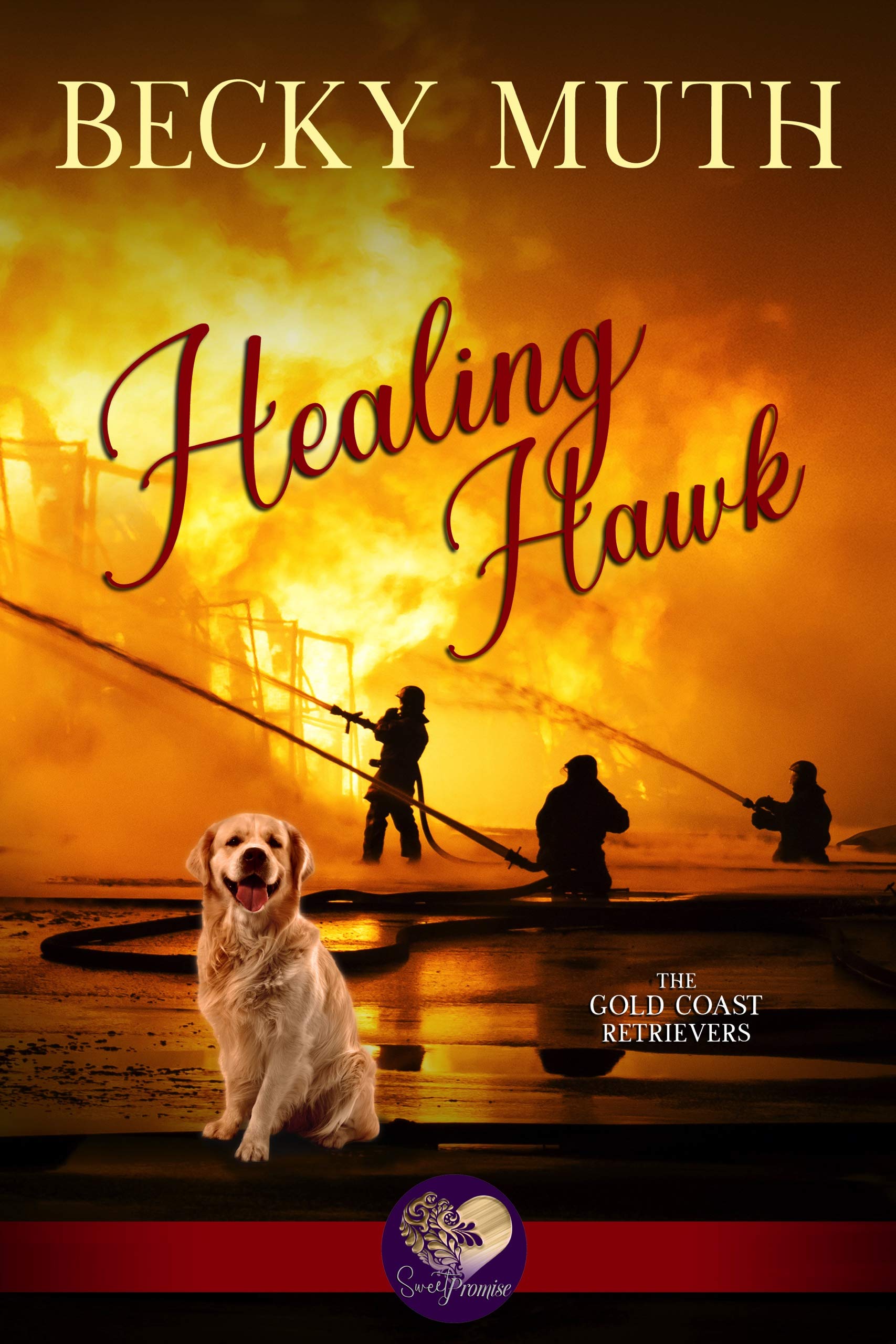Healing Hawk book cover