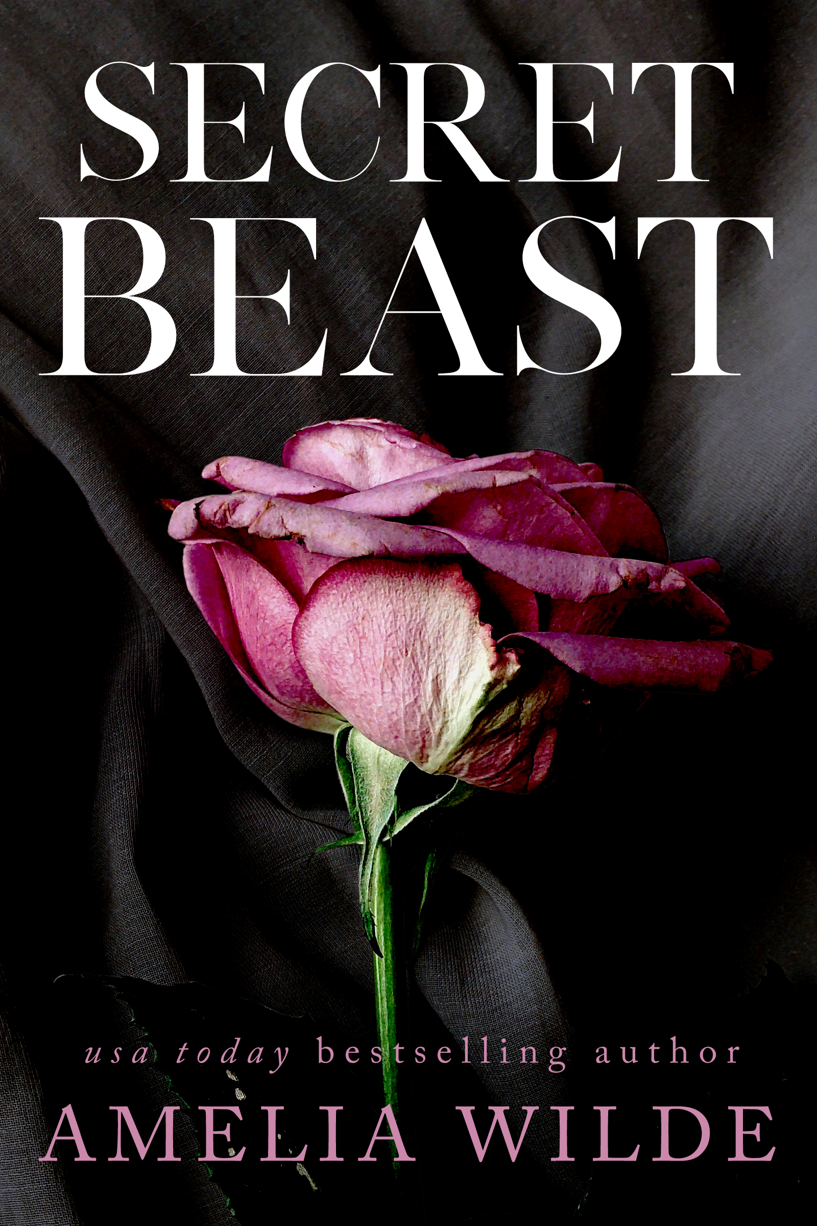Secret Beast (Beast of Bishop's Landing #1)