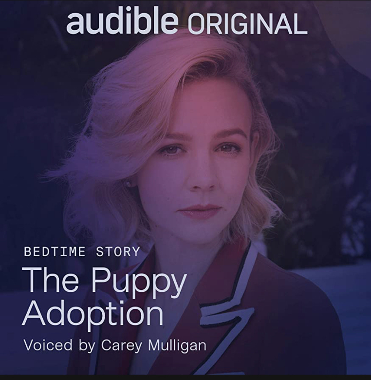 The Puppy Adoption