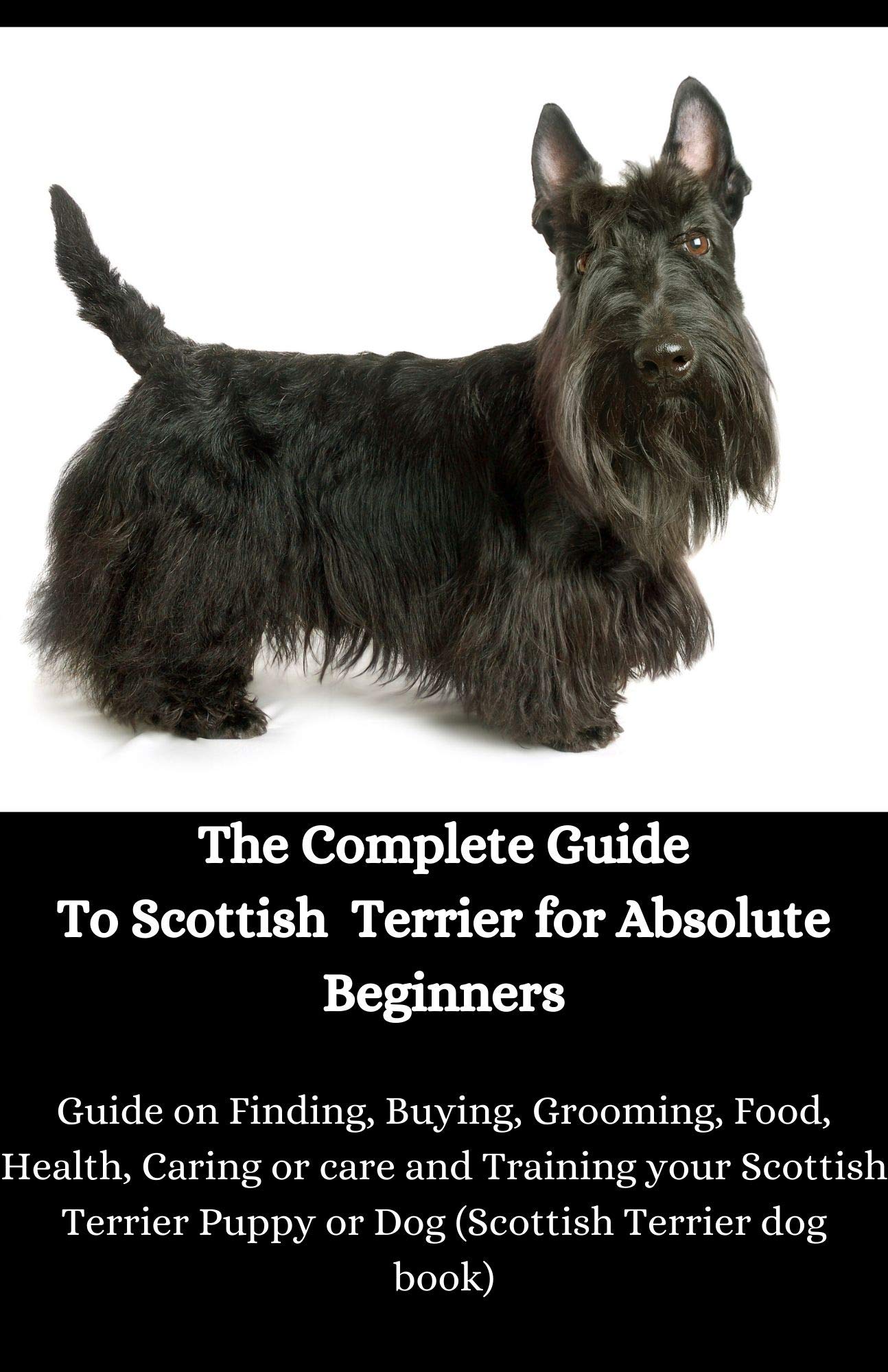 How To Take Care Of A Scottish Terrier Puppy