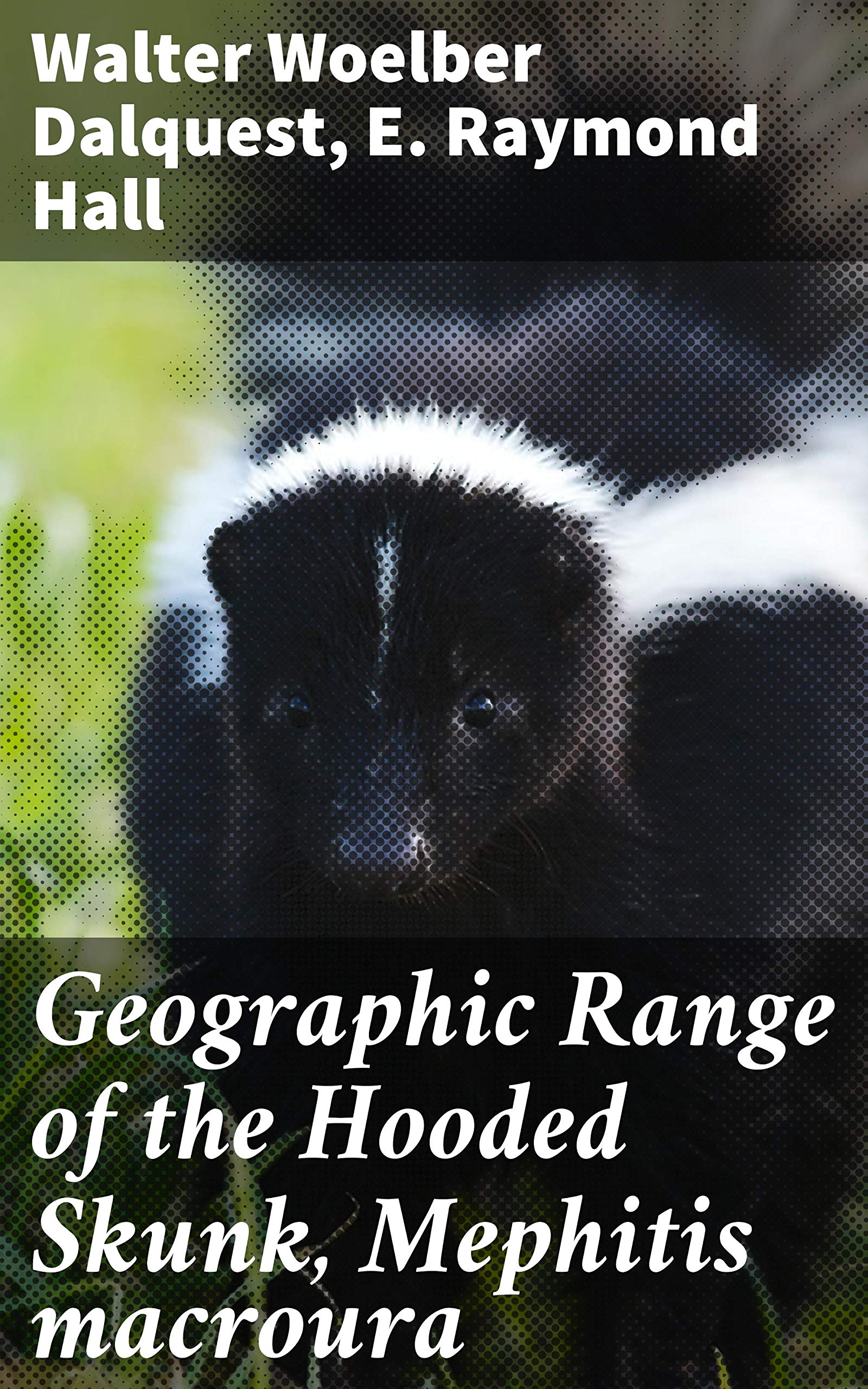 Geographic Range of the Hooded Skunk, Mephitis macroura: With
