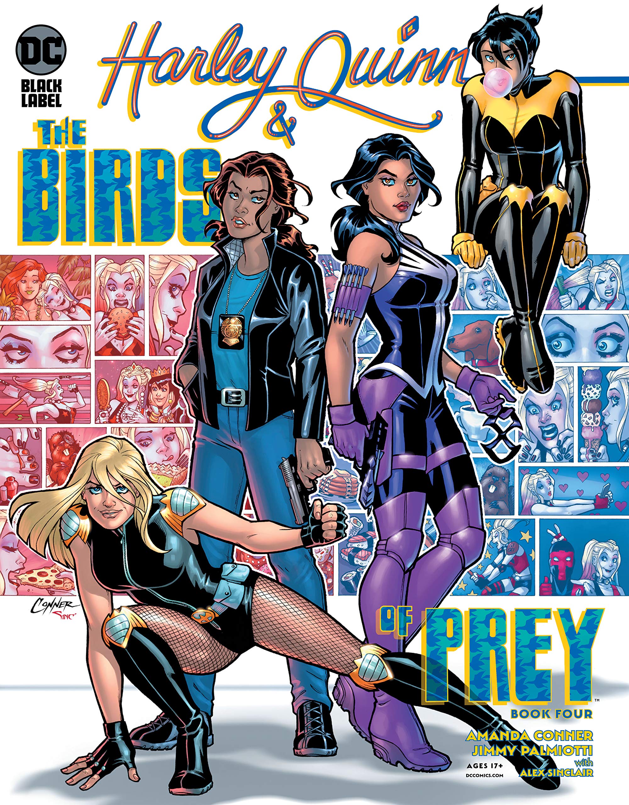 Harley Quinn & the Birds of Prey: The Hunt for Harley book cover 3