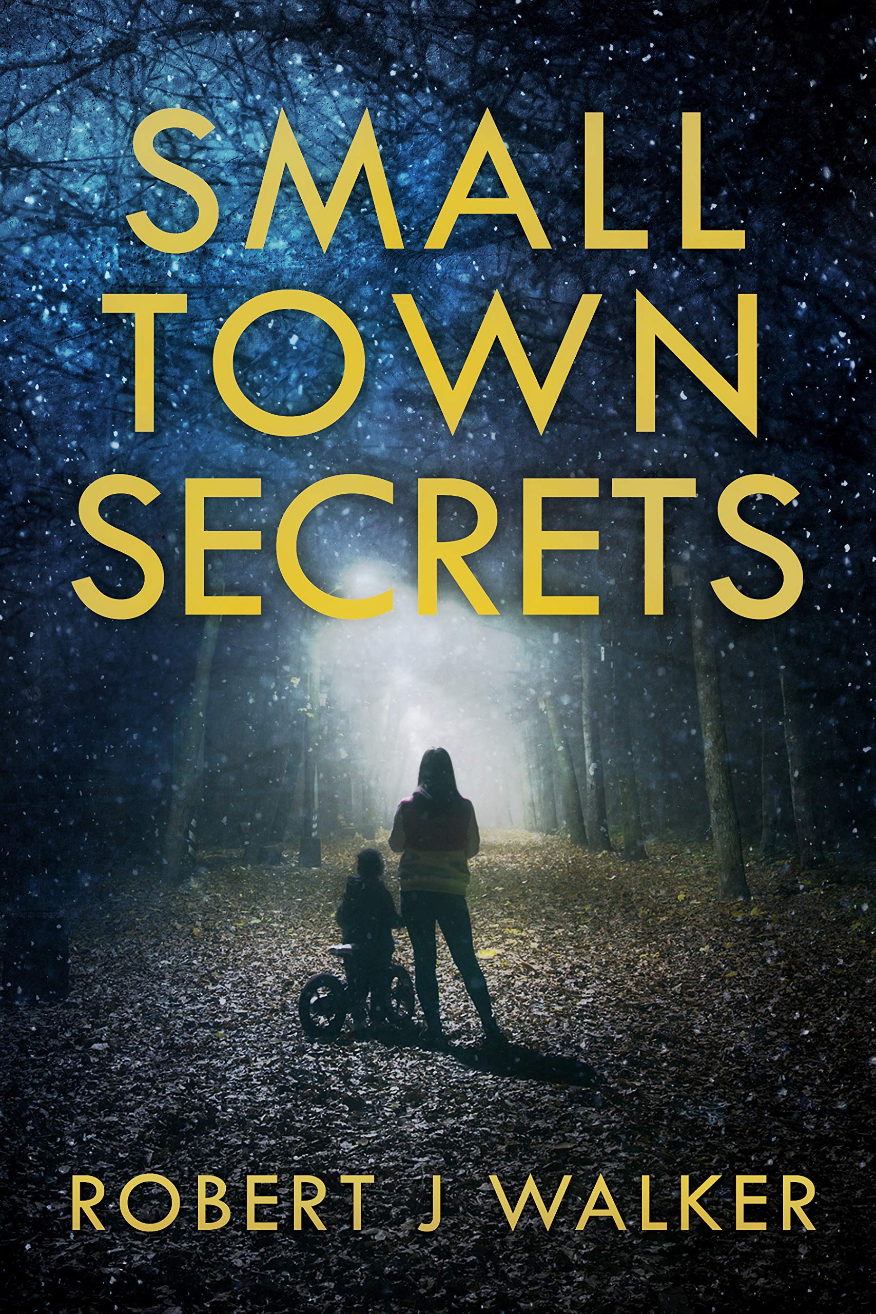 Small Town Secrets book cover