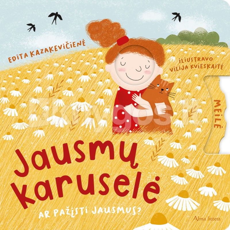 Jausmų karuselė