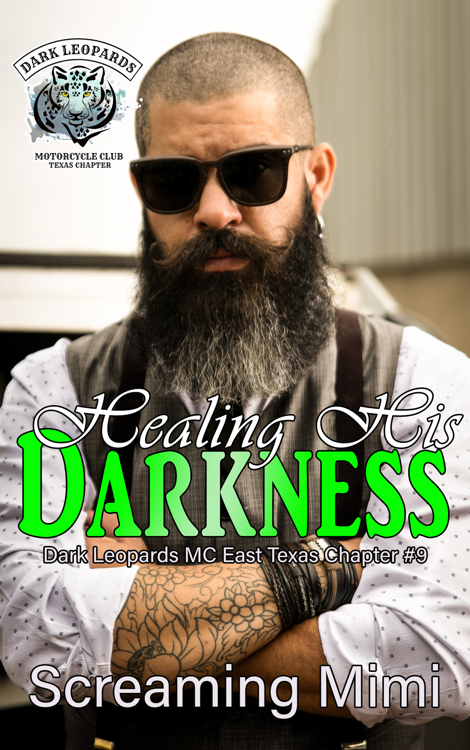 Healing His Darkness book cover