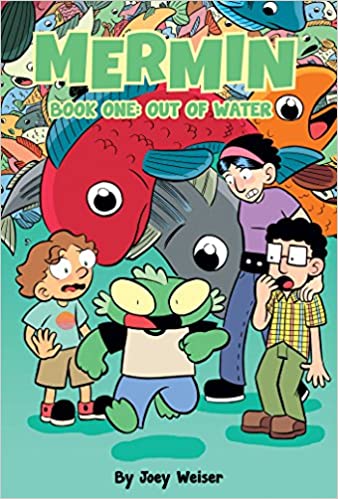 Mermin book cover 1