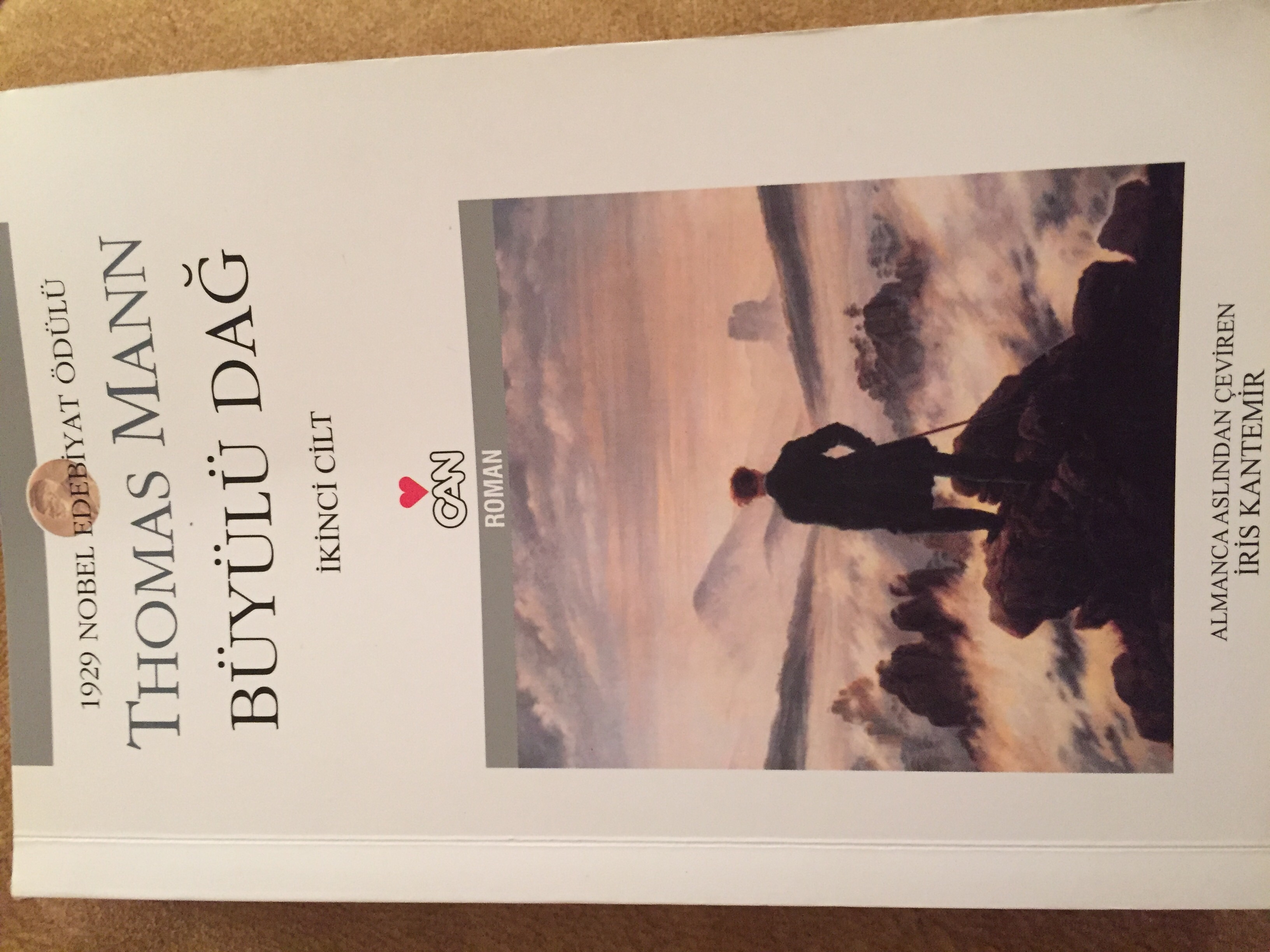 Büyülü Dağ - Cilt 2 book cover