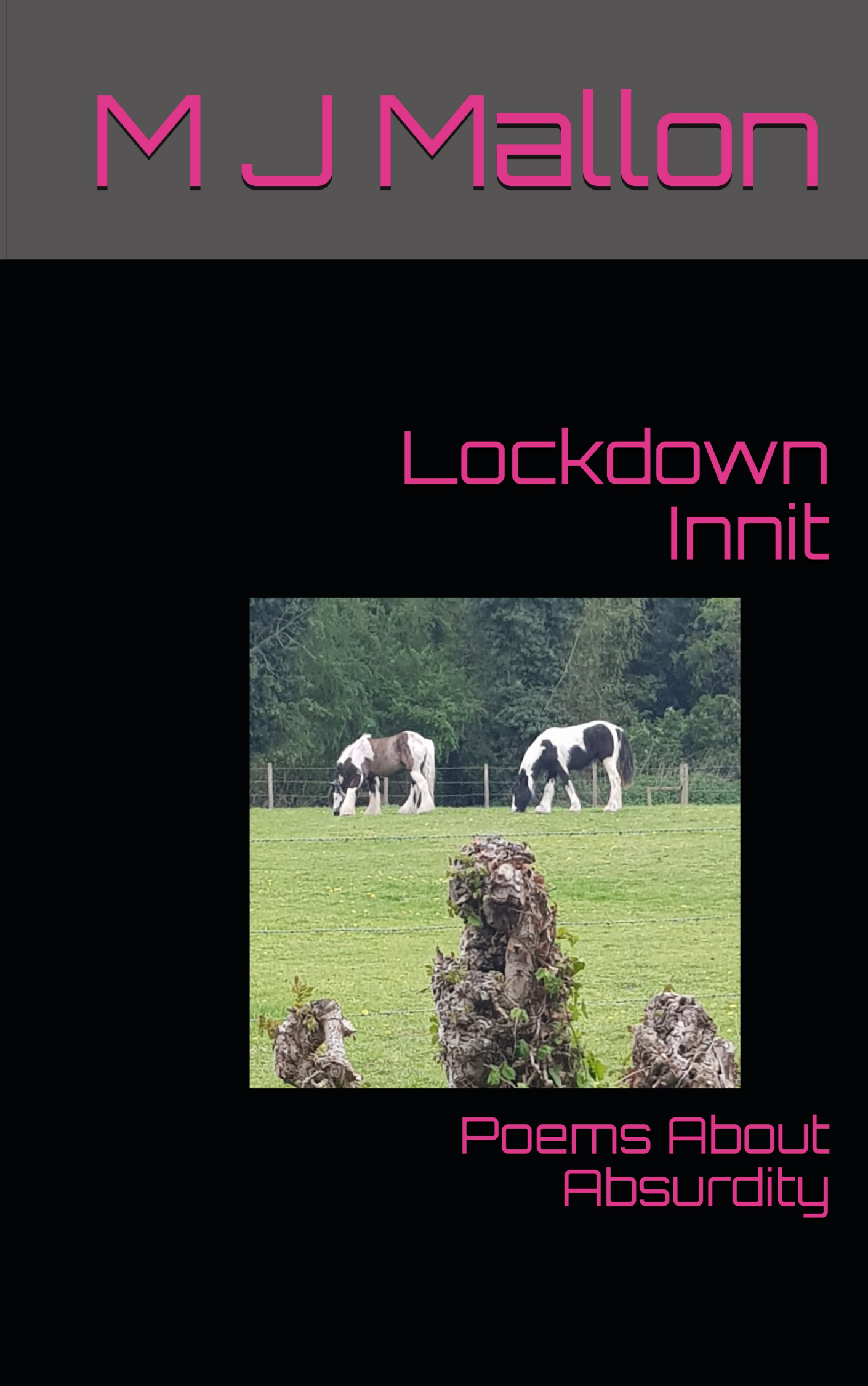 Lockdown Innit book cover